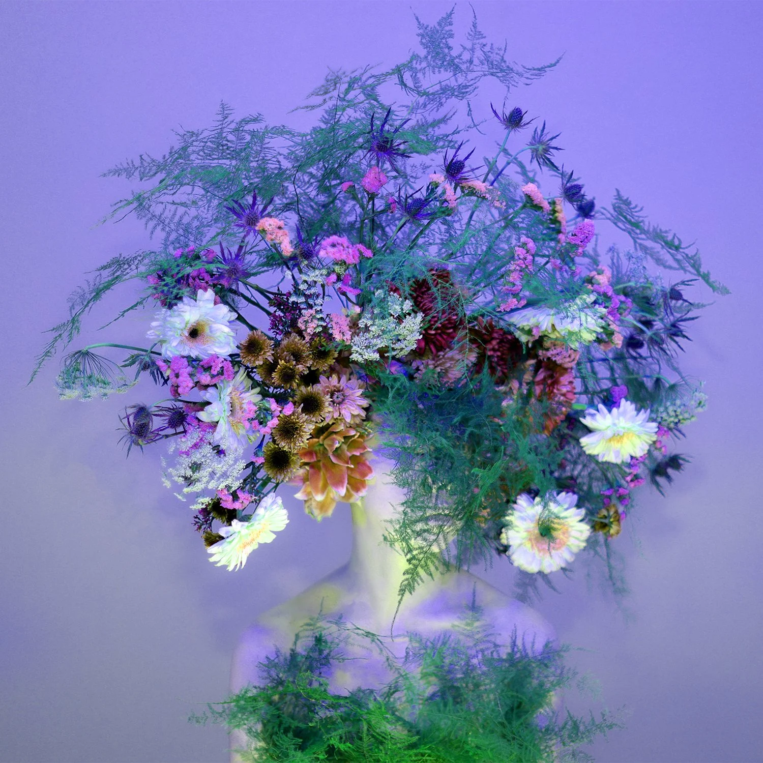 35-Scent of Austin 11182024v.jpg