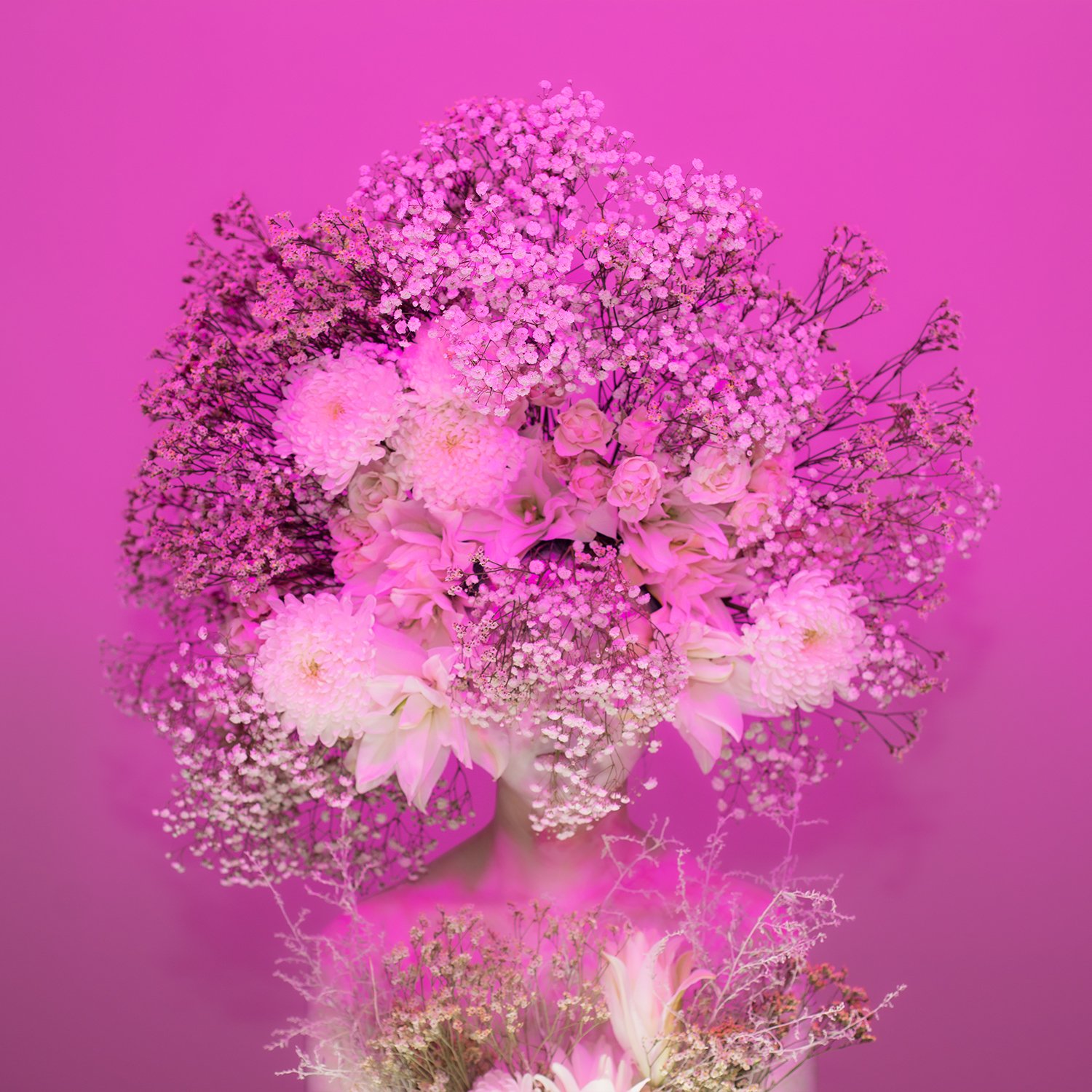 44-Scent of Austin0207p1.jpg