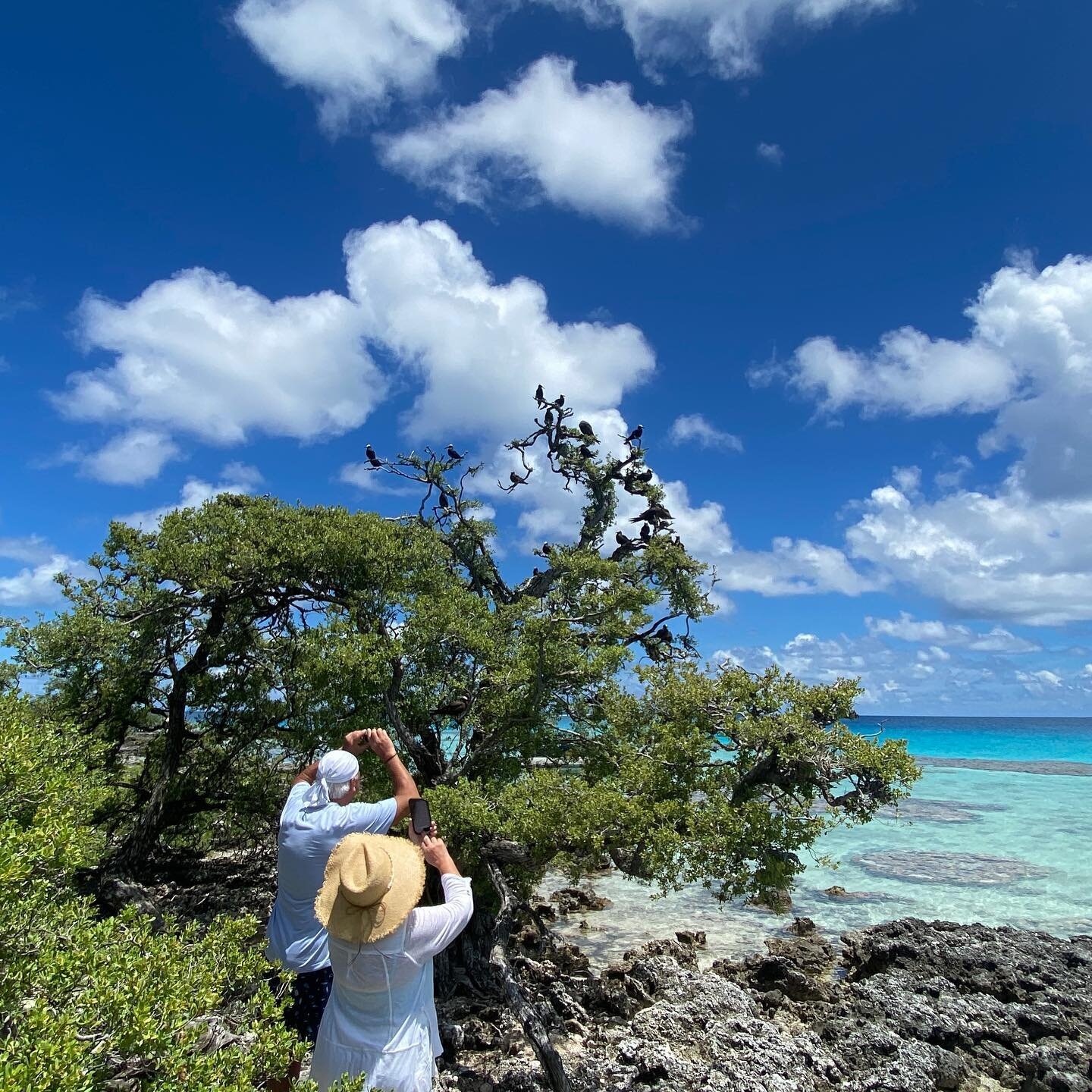Bird island expedition ✨
.
#tikehau #tikewow #tahiti #moorea #paradise