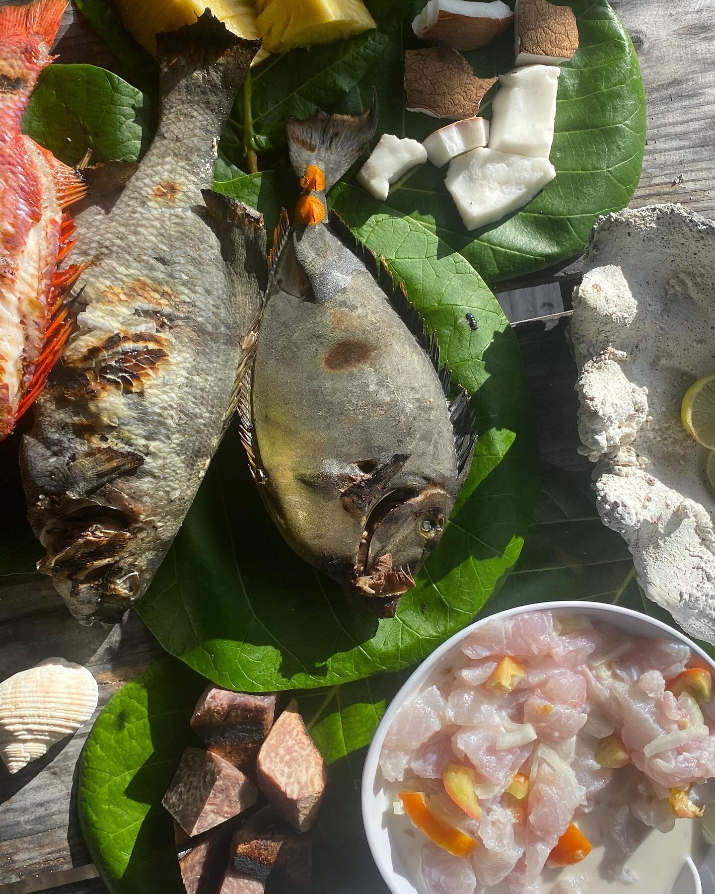 Tamaa maitai 
.
Our best choice fish for our guests during our full private tour #tikehau #tikewow #privatetour #paradise #tahiti #moorea #borabora #frenchpolynesia #love #tikehauoceantour