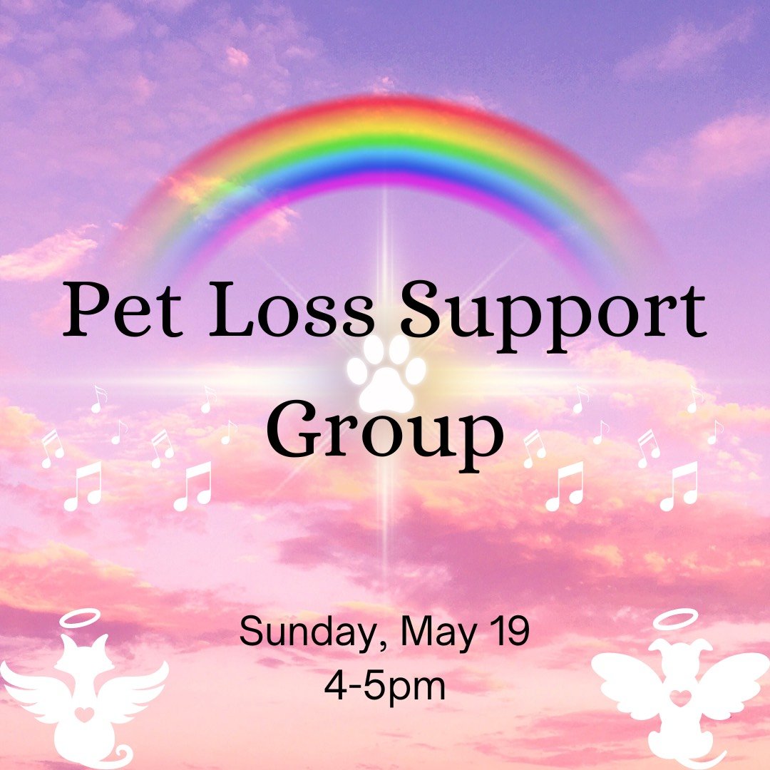 @the_singing_rainbow and I are very excited to host our Quarter 2 Pet Loss Support Group at the @teddycatcafe on May 19th at 4pm. This will be an hour support group where you can connect with other pet owners, honor your loved pets, meet some cats, a