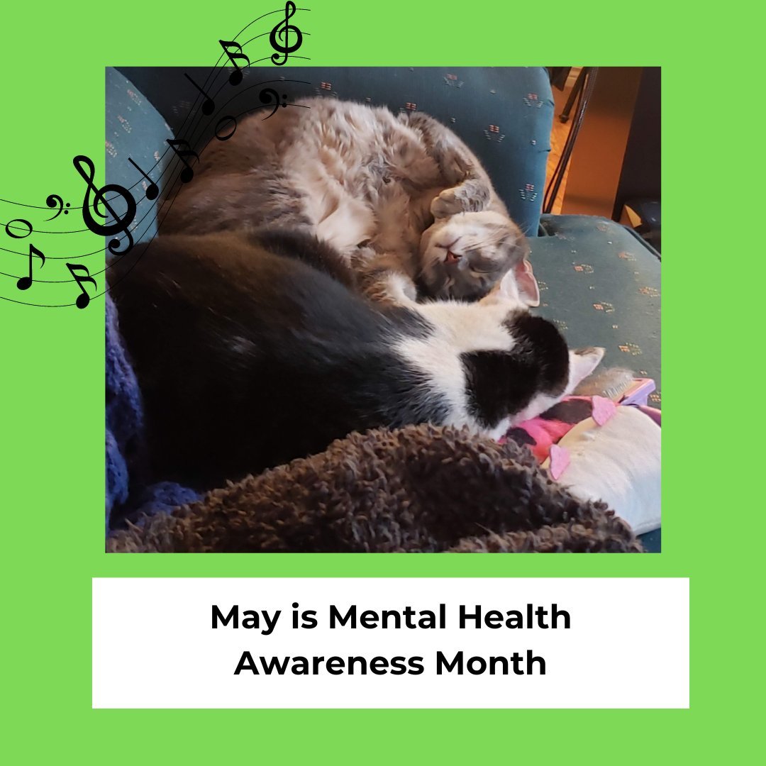 May is Mental Awareness Month! There are many ways to use music to support your mental health in and outside of music therapy. Connect with others in the community at our upcoming pet loss support group at the @teddycatcafe on May 19th! This is a sup