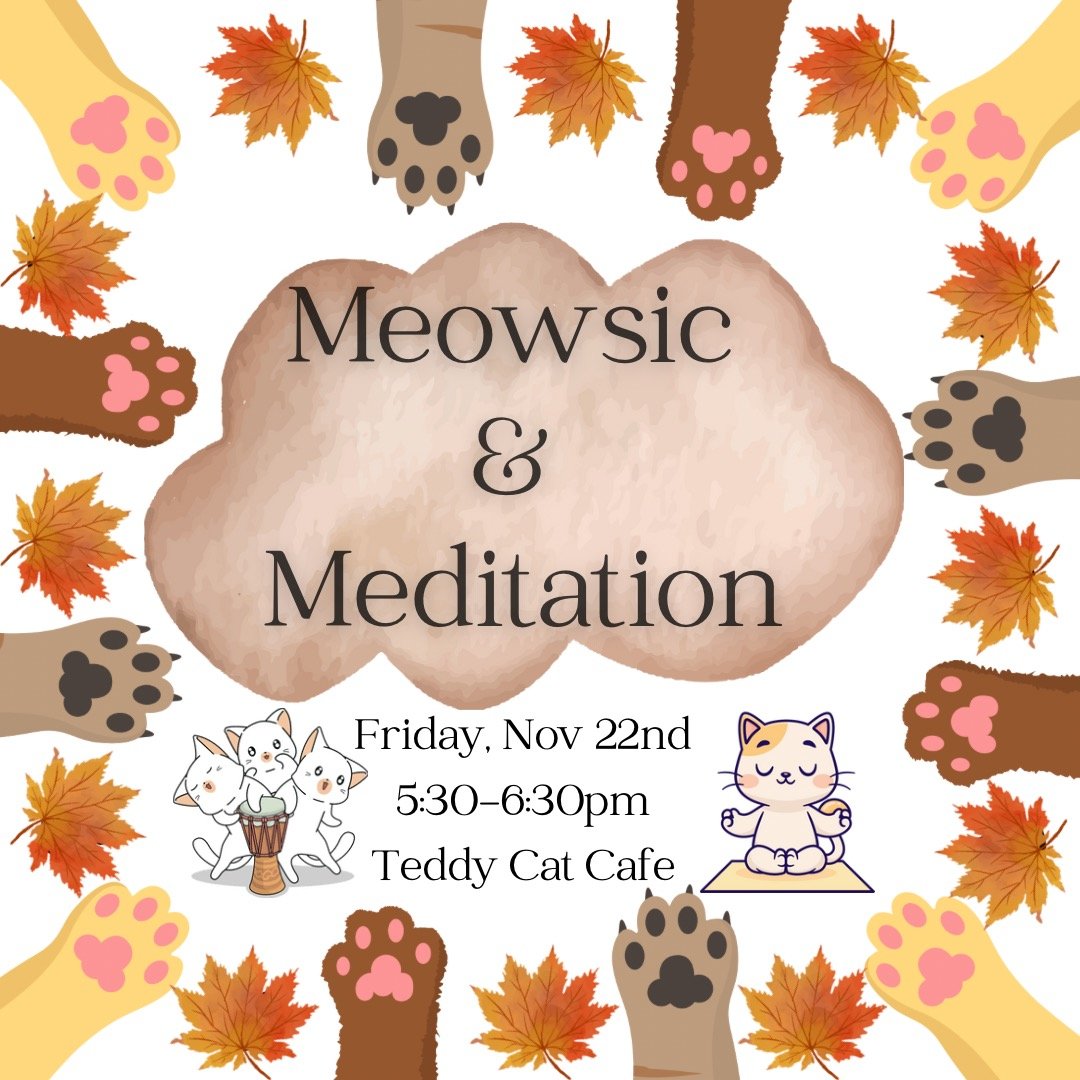 Join us next Friday the 22nd for an hour of meditation and active music making- with cats in the room! Get your ticket here: https://www.teddycatcafe.com/bookyourvisit

[Image description: Cat paws and leaves surrounding the text and a cat playing th