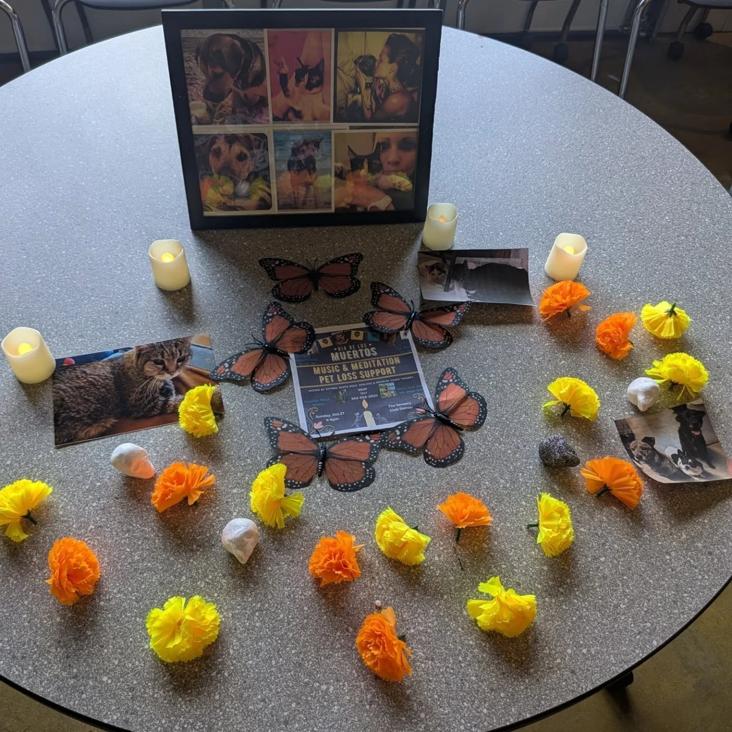 Here is our lovely ofrenda we made today honoring pets from our lives. Thanks to the @autismcommunitystore for having us and for the therapy dogs for joining us! May all of our loved ones rest in peace. 🙏

[Image description 1: An ofrenda filled wit