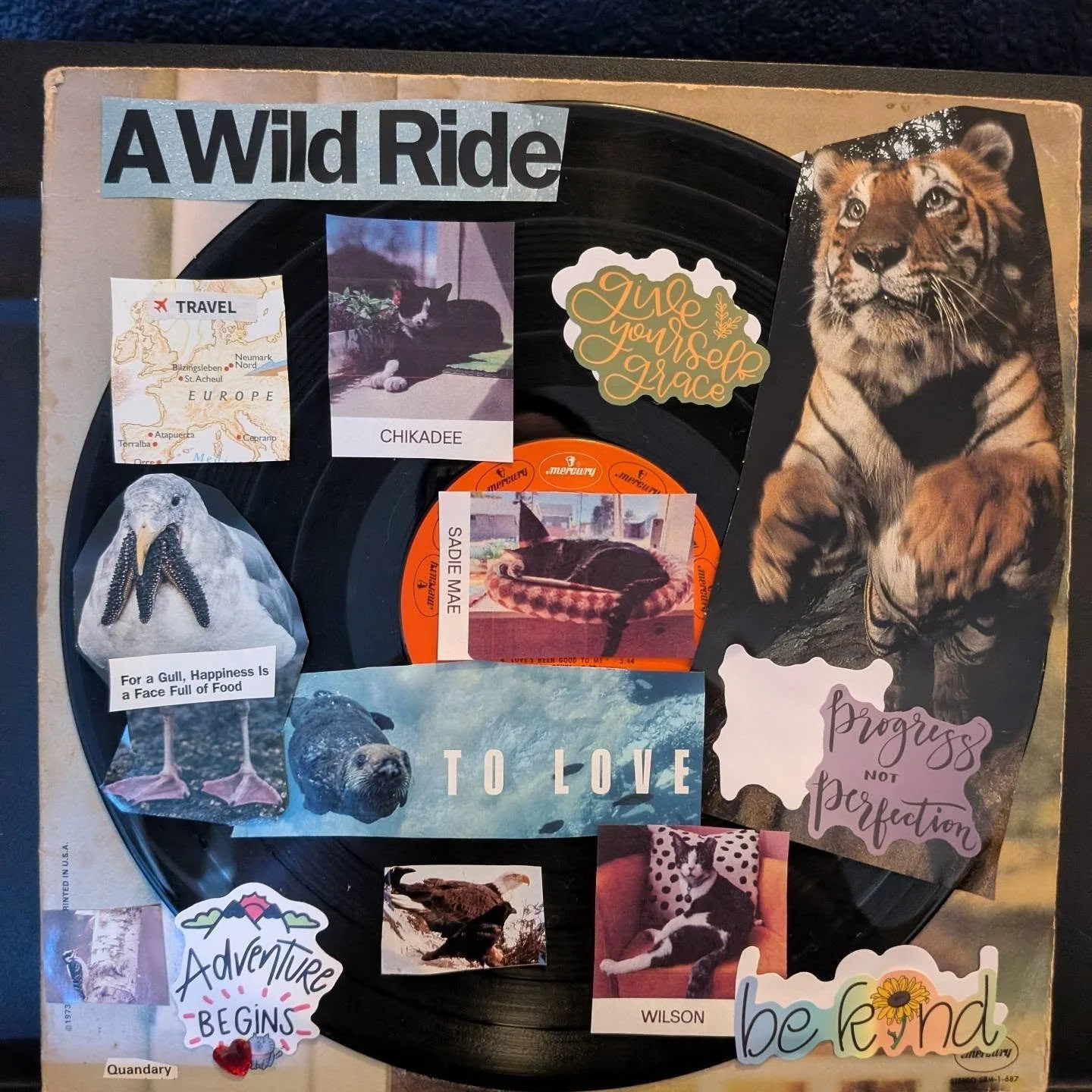 Happy New Year! I really enjoyed @teddycatcafe and @303msepulveda 's Purrs and Possibilities Collage Night! Here is my collage for 2026. I have an event at Teddy Cat Cafe this Friday! Check out their calendar for more amazing events throughout the ye