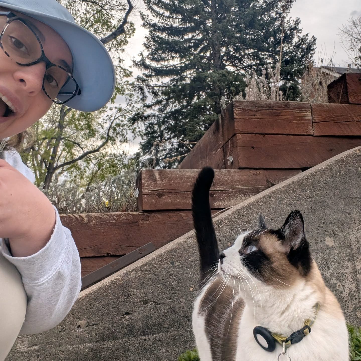 The man, the myth, the legend Mr. Cuddles! Great way to kick off this conference day. @csumusictherapy @mr.cuddles_the_cat_

[Image description 1: Bonnie taking an excited selfie with Mr. Cuddles the famous CSU cat.]
[Image description 2: Mr. Cuddles
