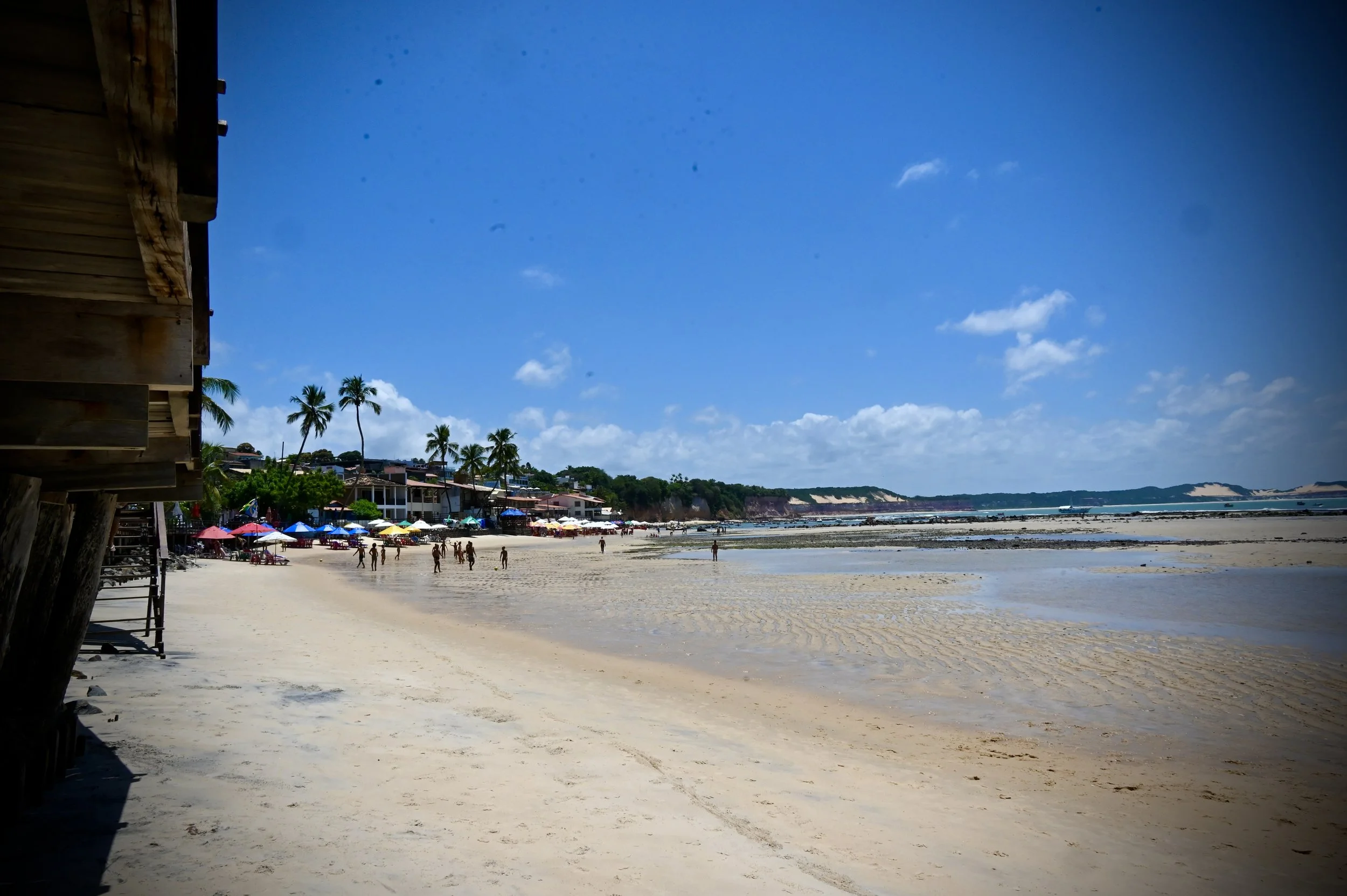 DSC_3238.JPG