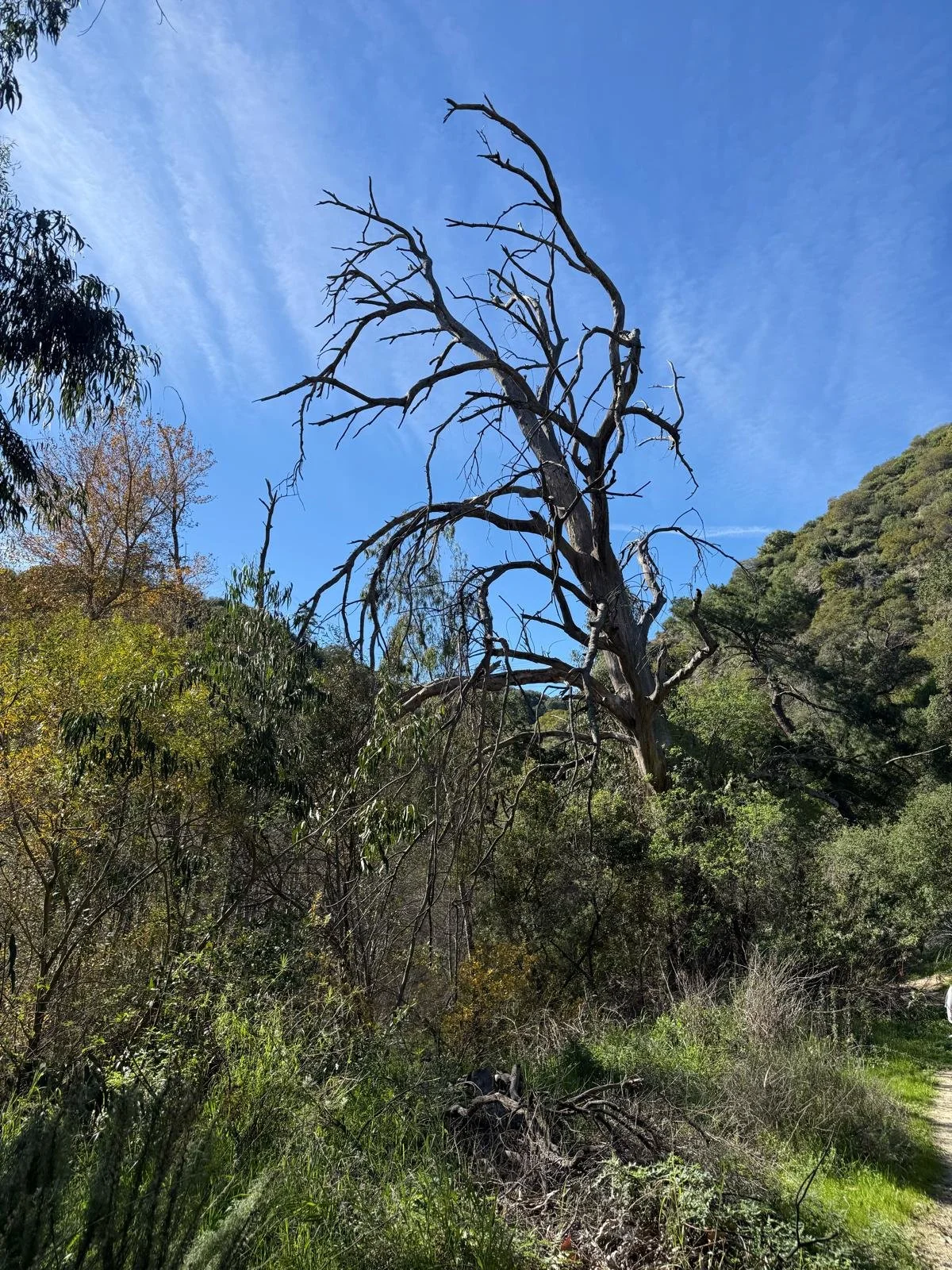 WhatsApp Image 2026-01-21 at 11.23.59 PM.jpeg