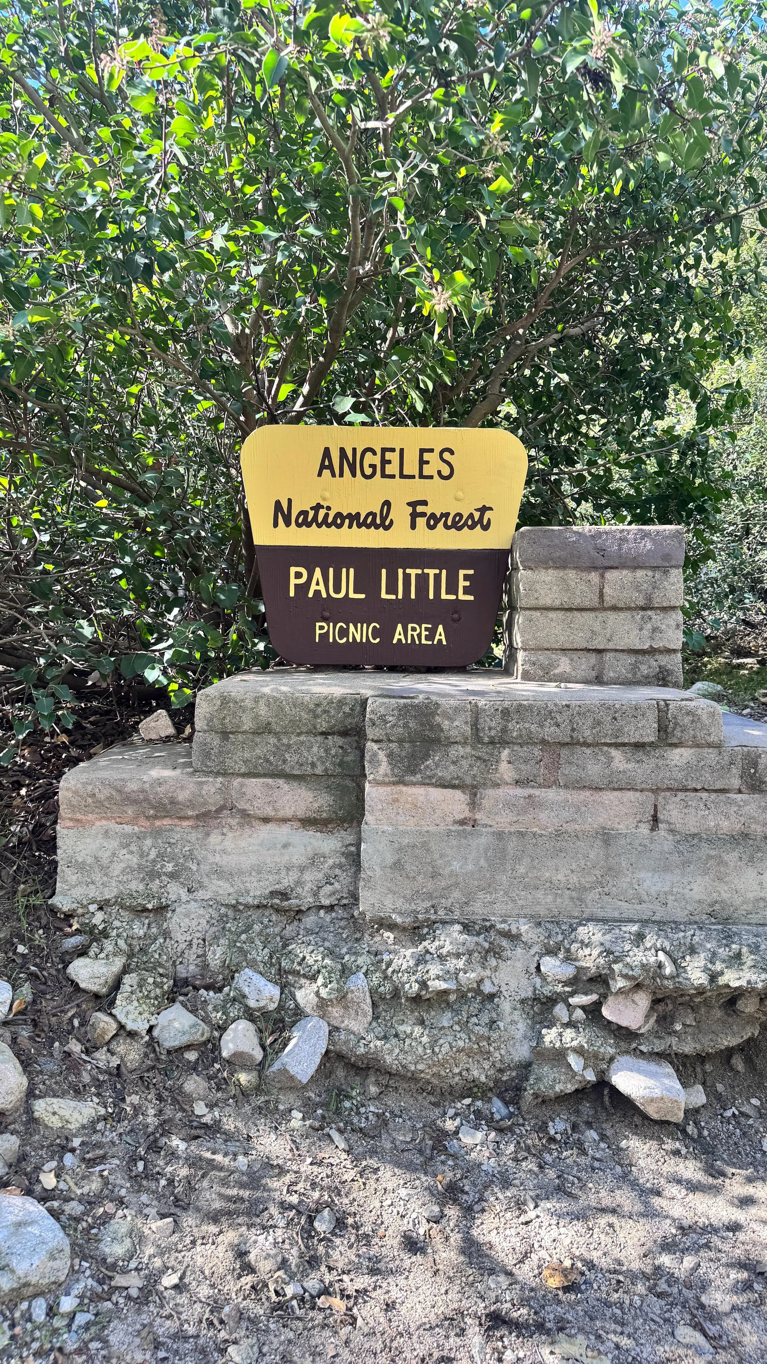 WhatsApp Image 2026-01-21 at 11.22.52 PM.jpeg