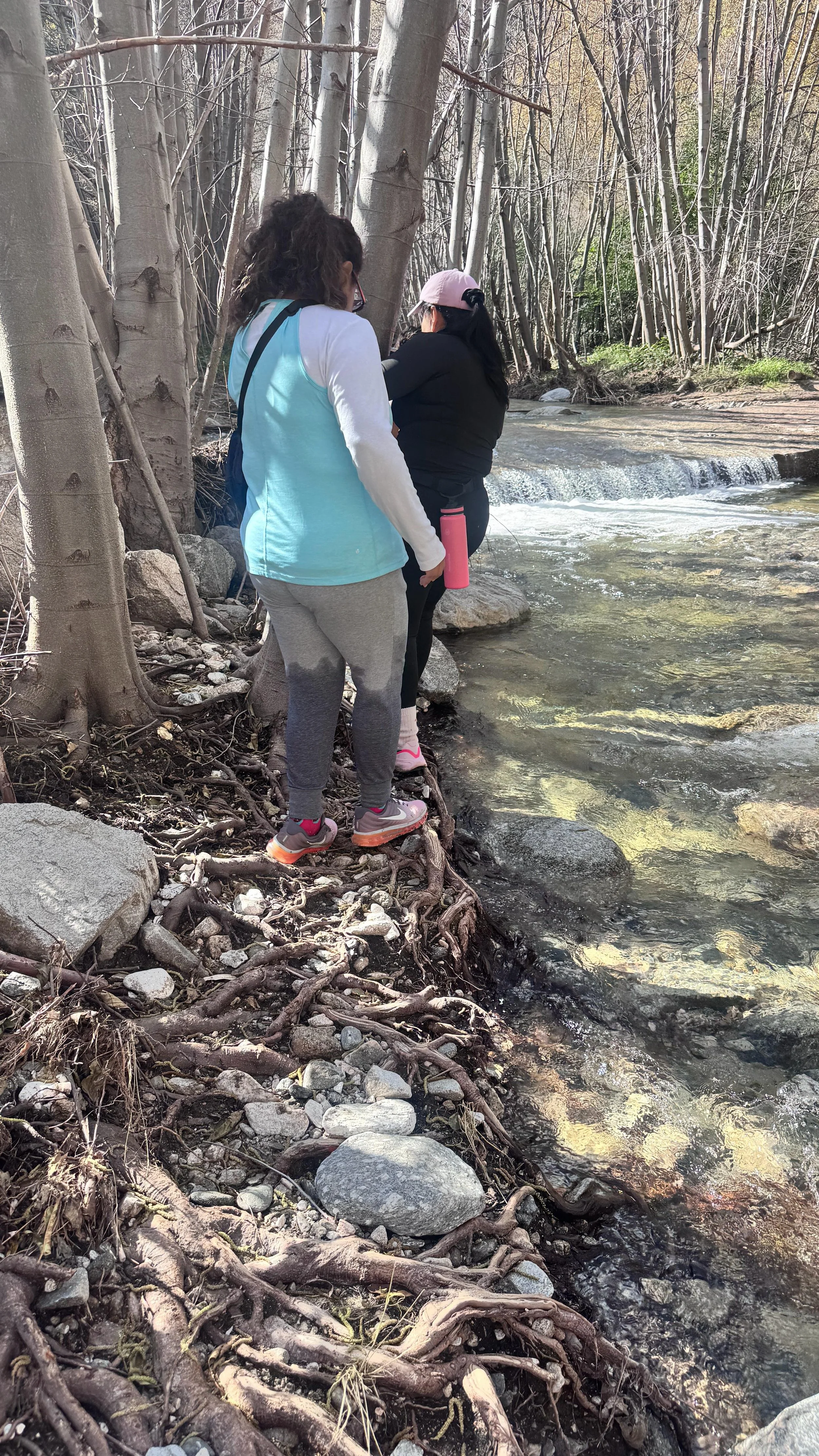 WhatsApp Image 2026-01-21 at 11.22.54 PM.jpeg