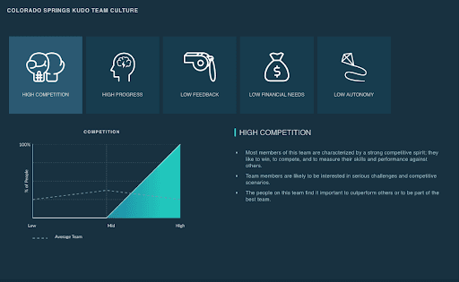 Iron Forged Martial Arts Kudo Team Culture