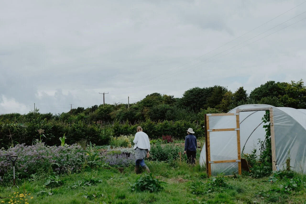 root connection volunteer with us.jpeg