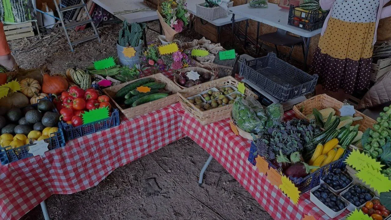 Root connections fundraise veg community garden.jpeg