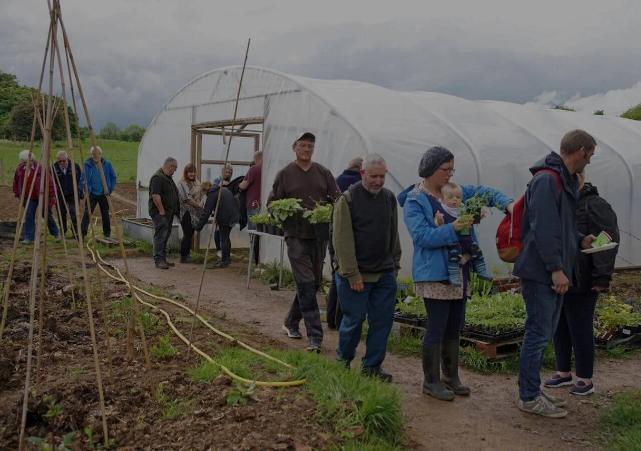 root connections events whats on activities.jpeg