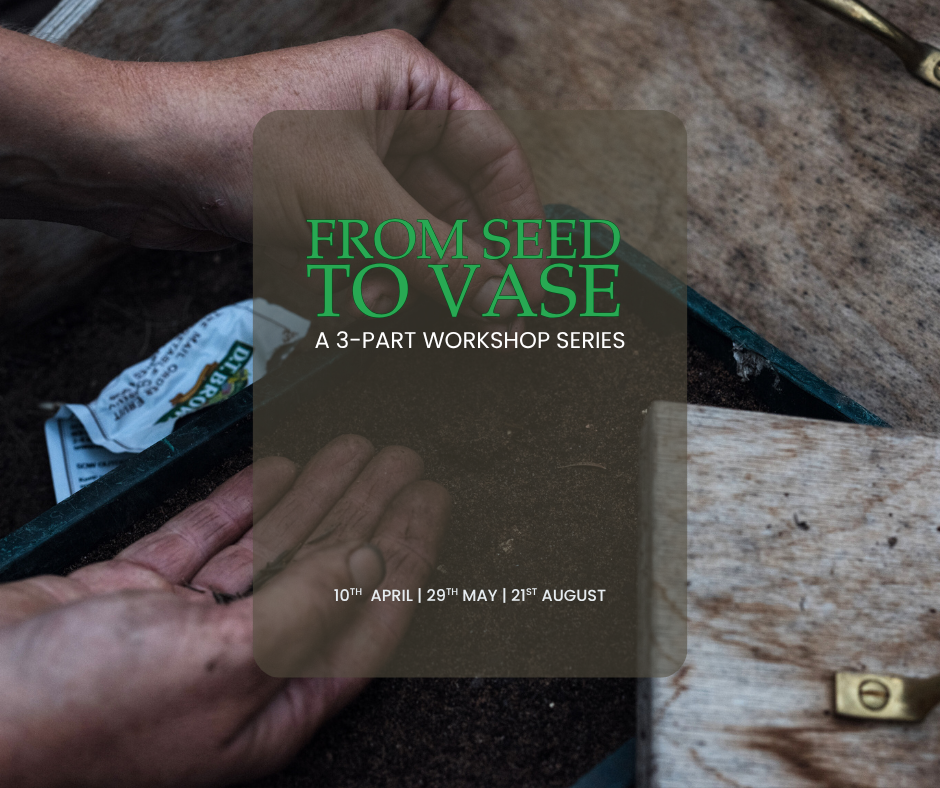 From Seed to Vase - A 3- Part Mini Course: Workshop 1