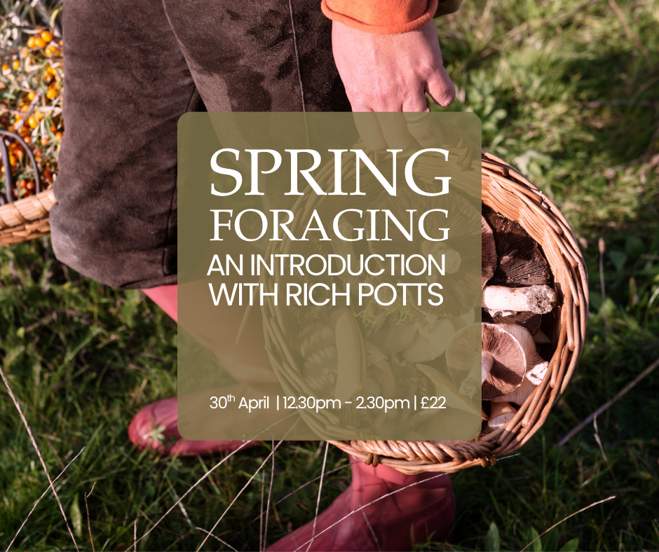 Spring Foraging - an Introduction with Rich Pott