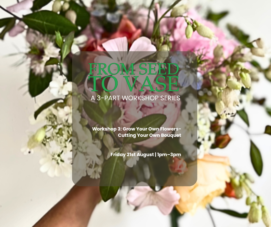From Seed to Vase - A 3- Part Mini Course: Workshop 3