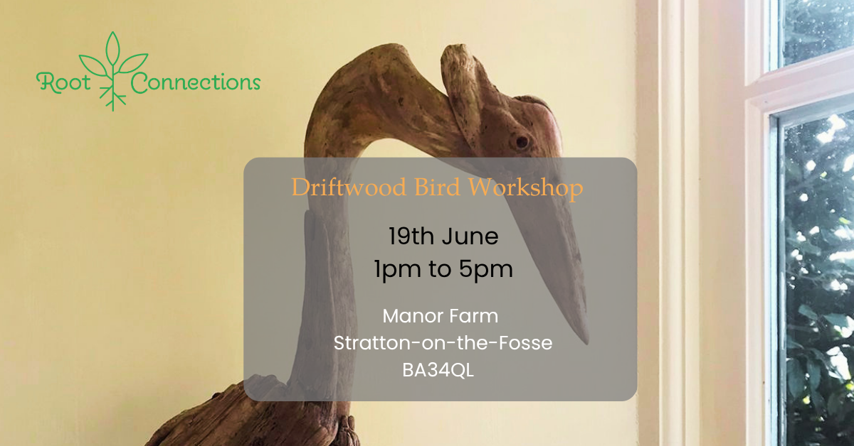 Driftwood Bird Workshop