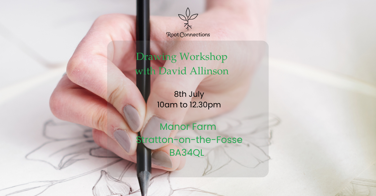 Drawing Workshop with David Allinson