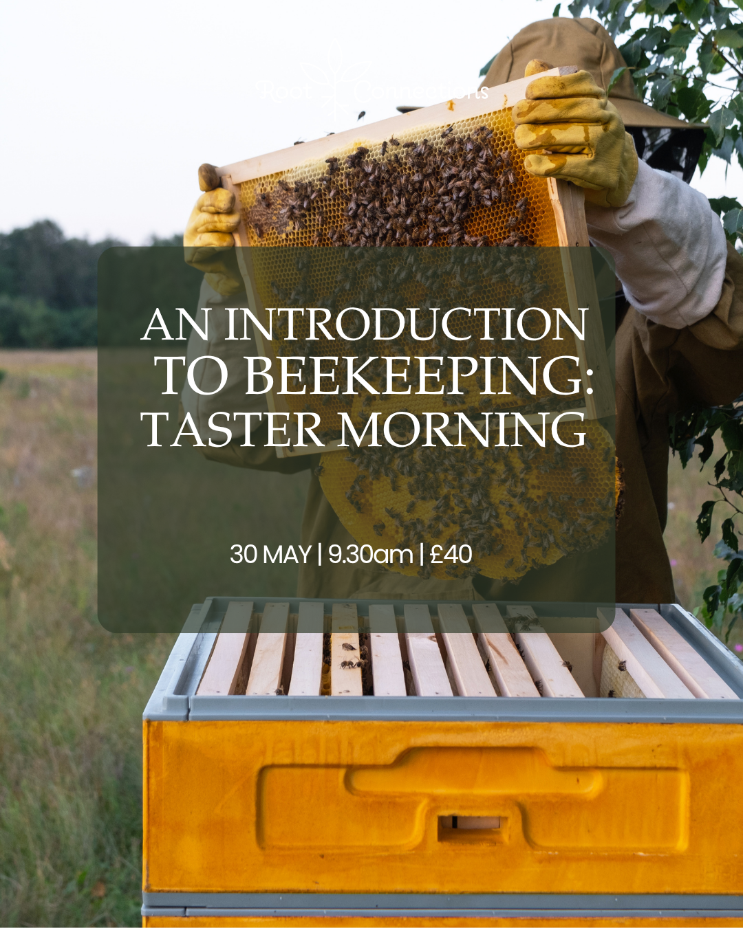 An Introduction to Beekeeping: Taster Morning