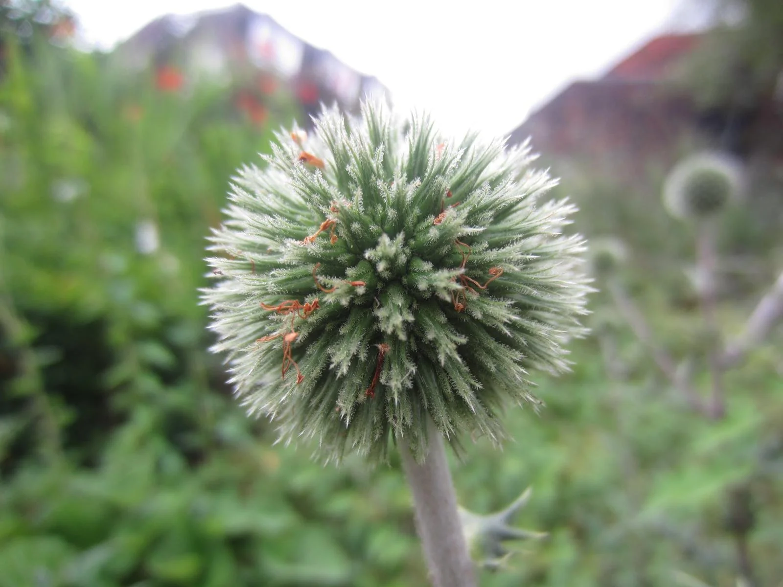Connections with Nature - a creative photography and printmaking workshop
