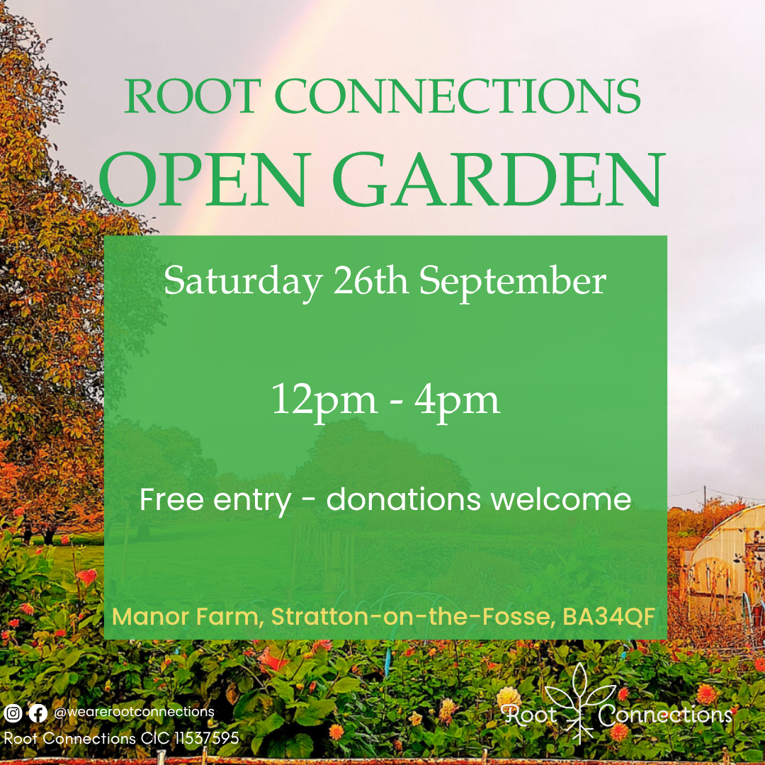 Root Connections - Open Garden