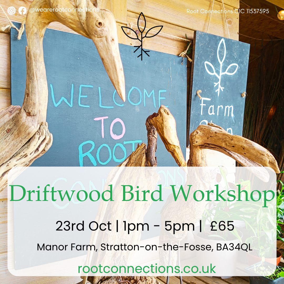 Driftwood Bird Sculpture Workshop