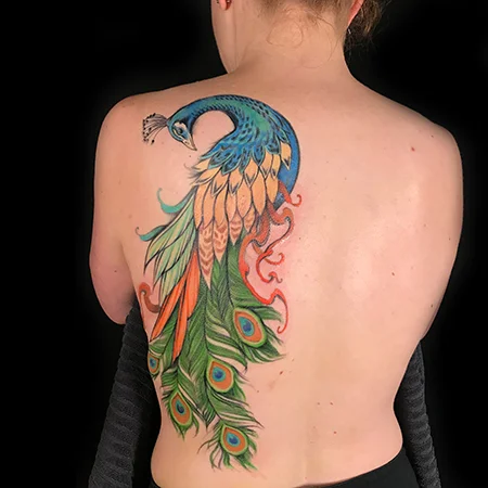 peacock.jpg