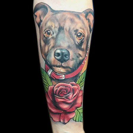 staffy.jpg