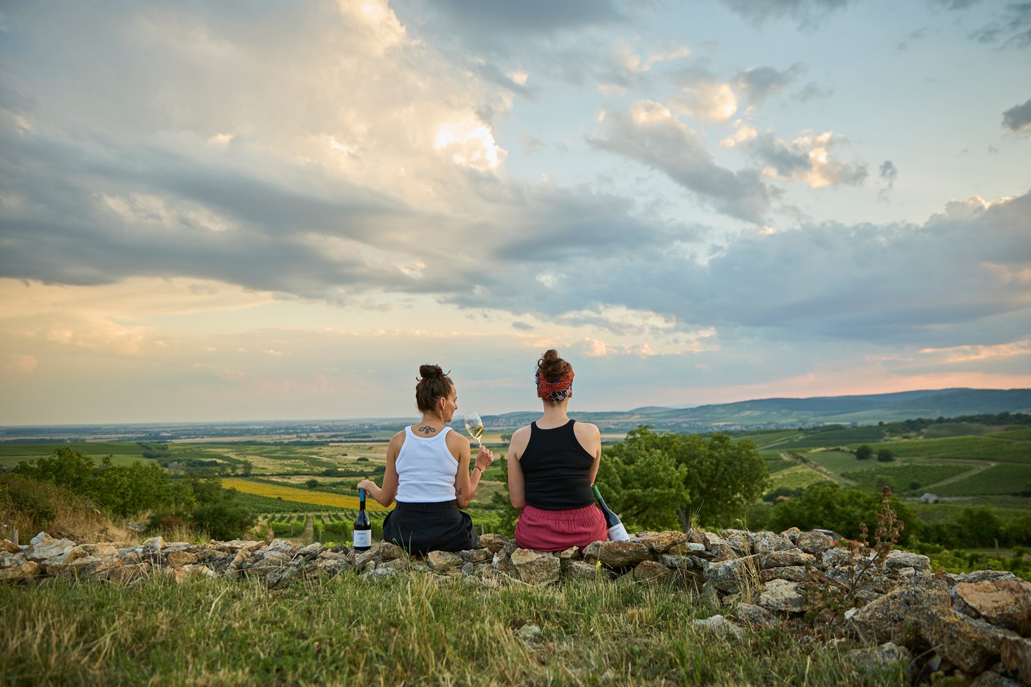 250721 DF Zsirai 2266.jpg