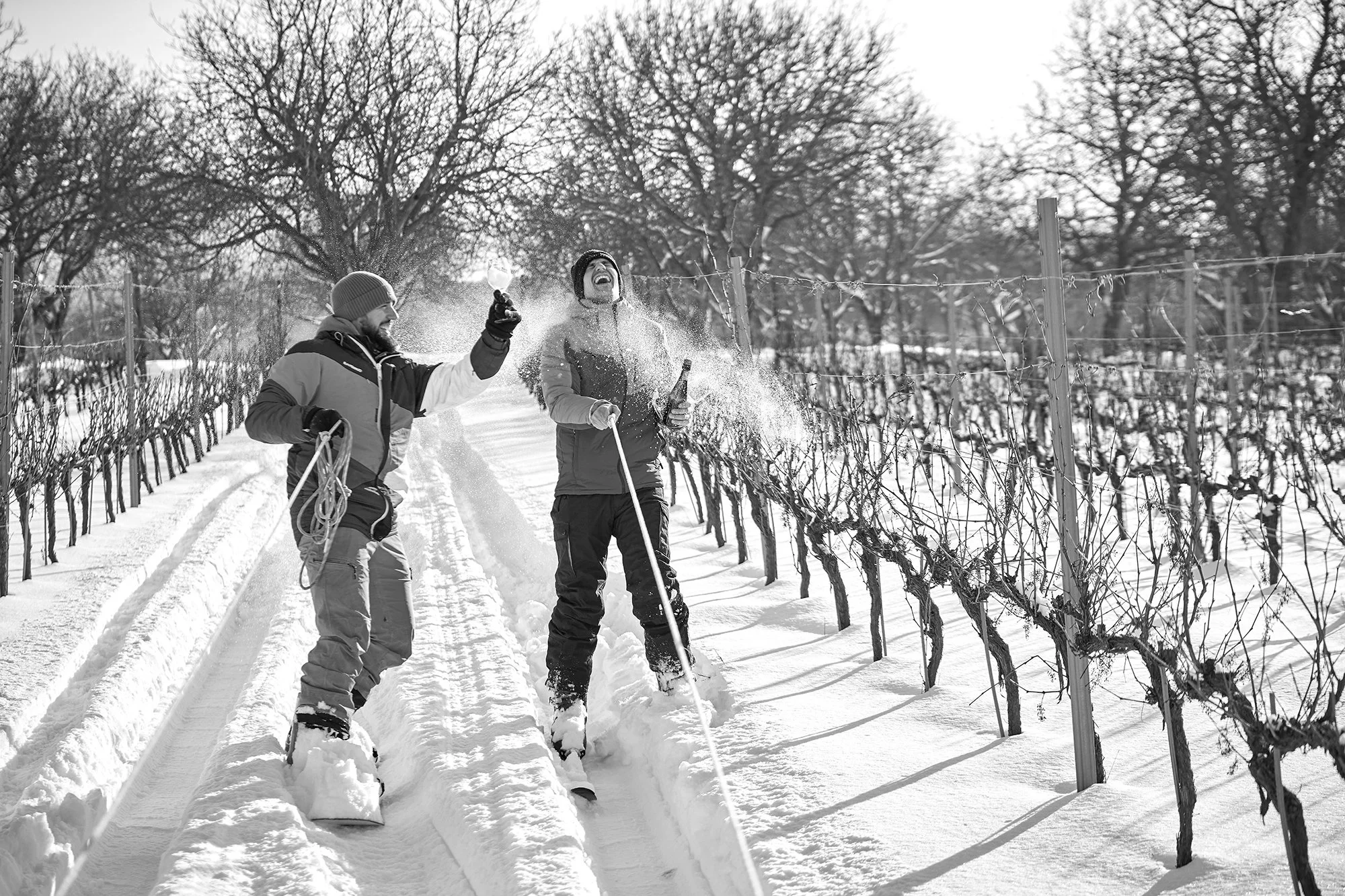 260108 Df Bujdosó Tél 749.jpg