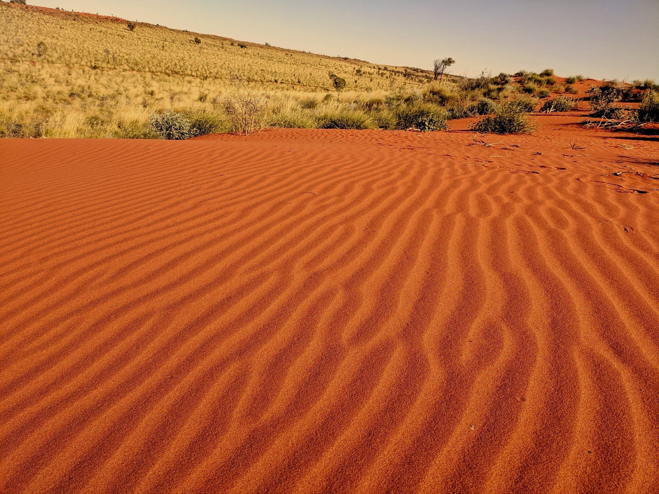 Acknowledgement Of Country The Word Depot acknowledgement-of-country-the-word-depot