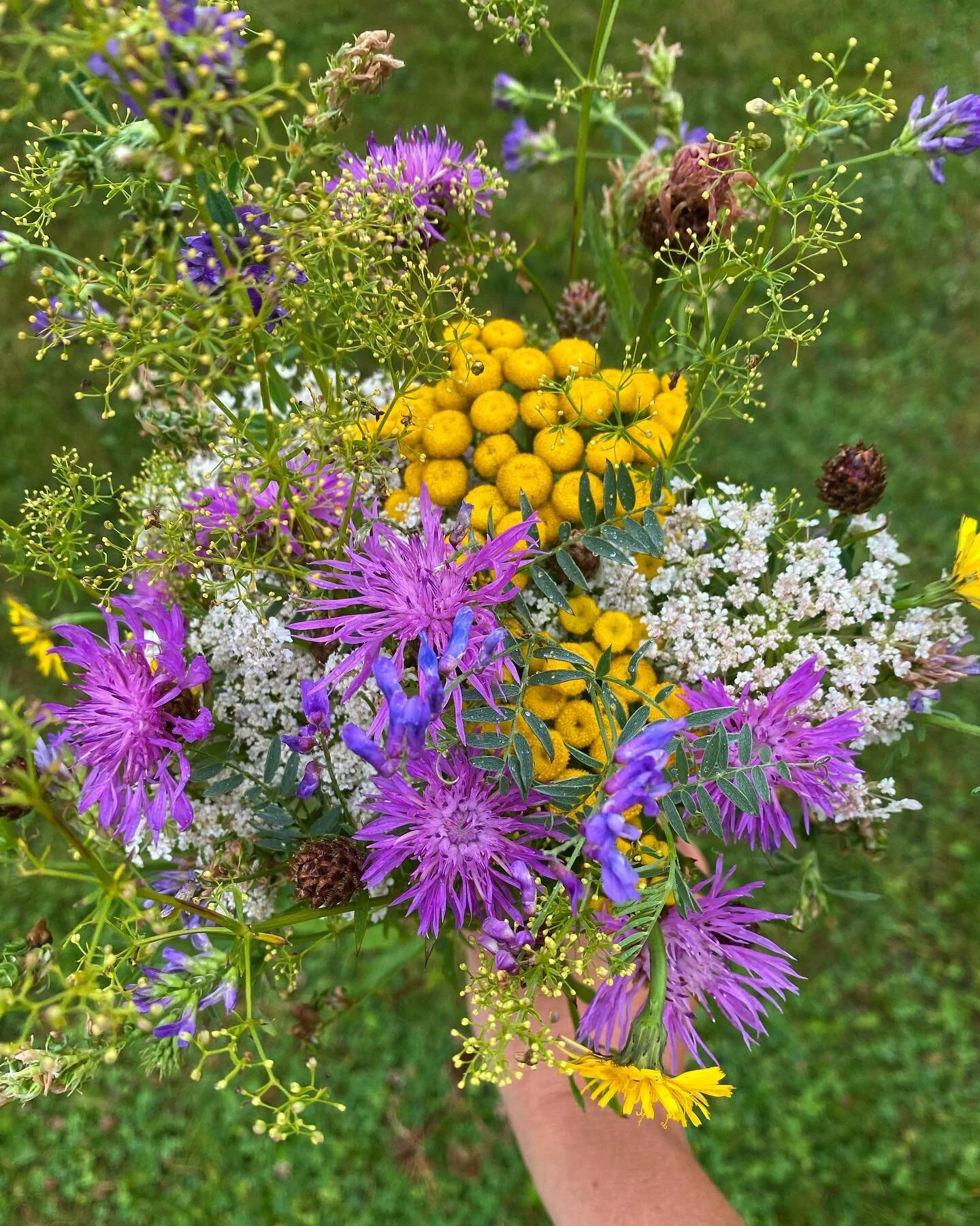 Blandet fra grøft & sti i regnvejr