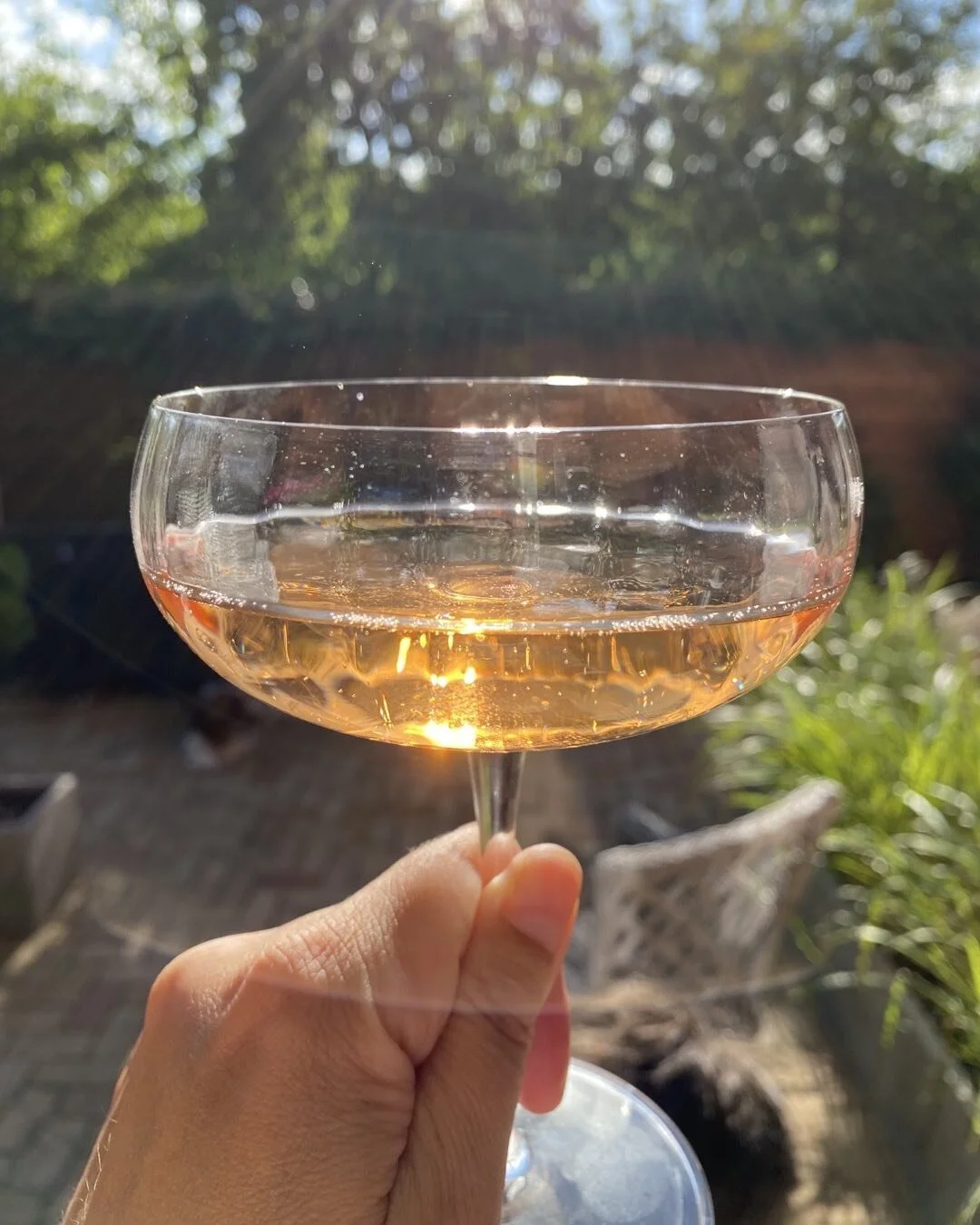 Min vin har glorie! 😇