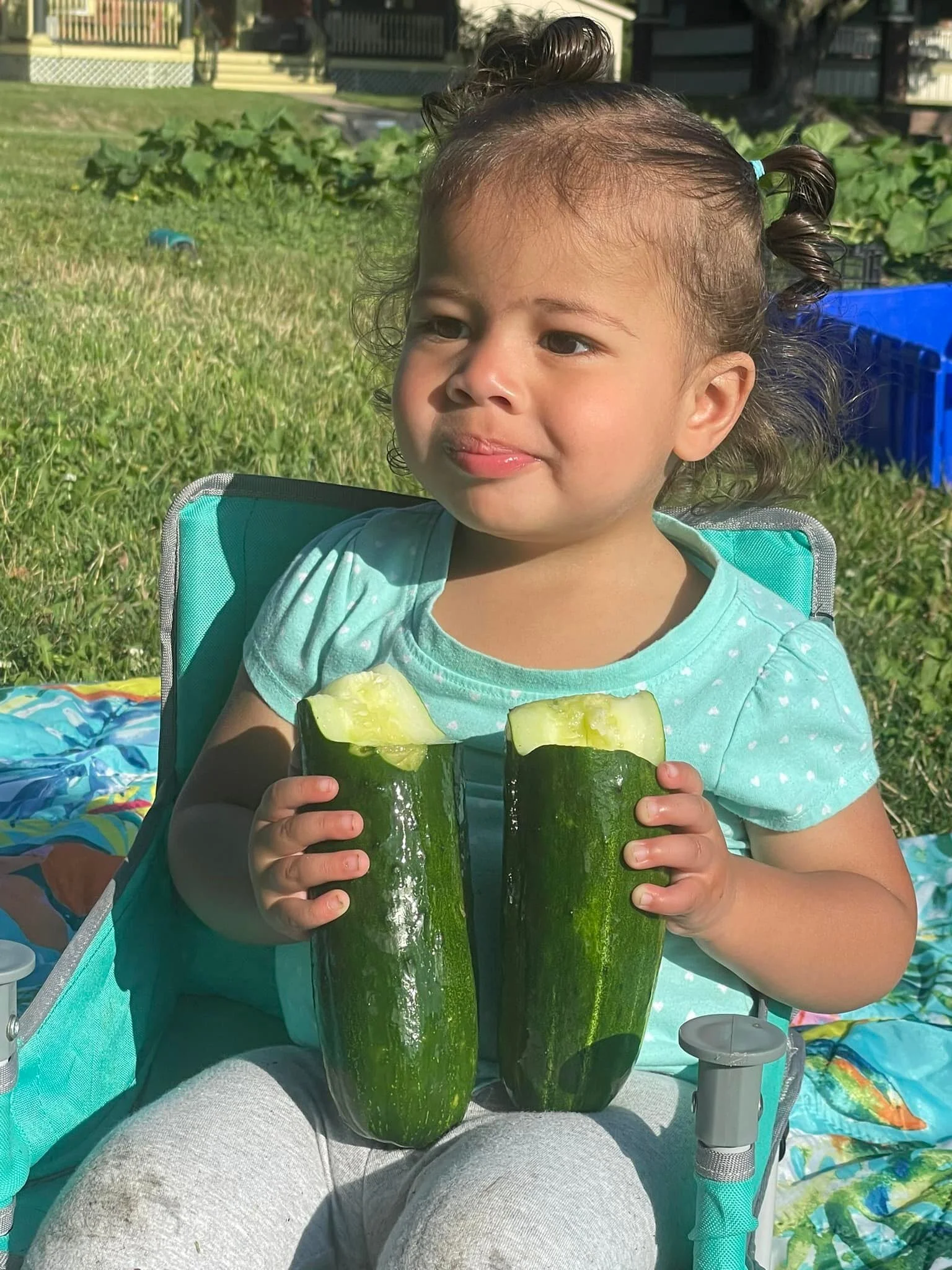 Tapestry Farms Grow Food, Grow Love Quad Cities