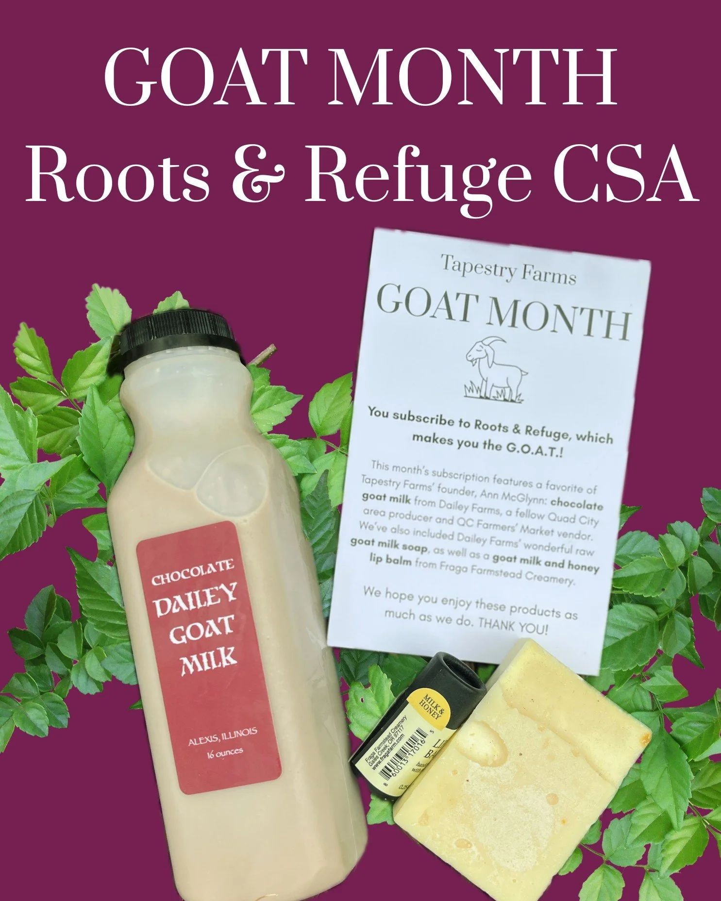 It&rsquo;s GOAT MONTH at Tapestry Farms! 🐐 We were happy to see our Roots &amp; Refuge CSA subscribers last week as they picked up their monthly vegetable and special add-on farm shares. What fun to collaborate with @daileyfarms and @fragafarm for s