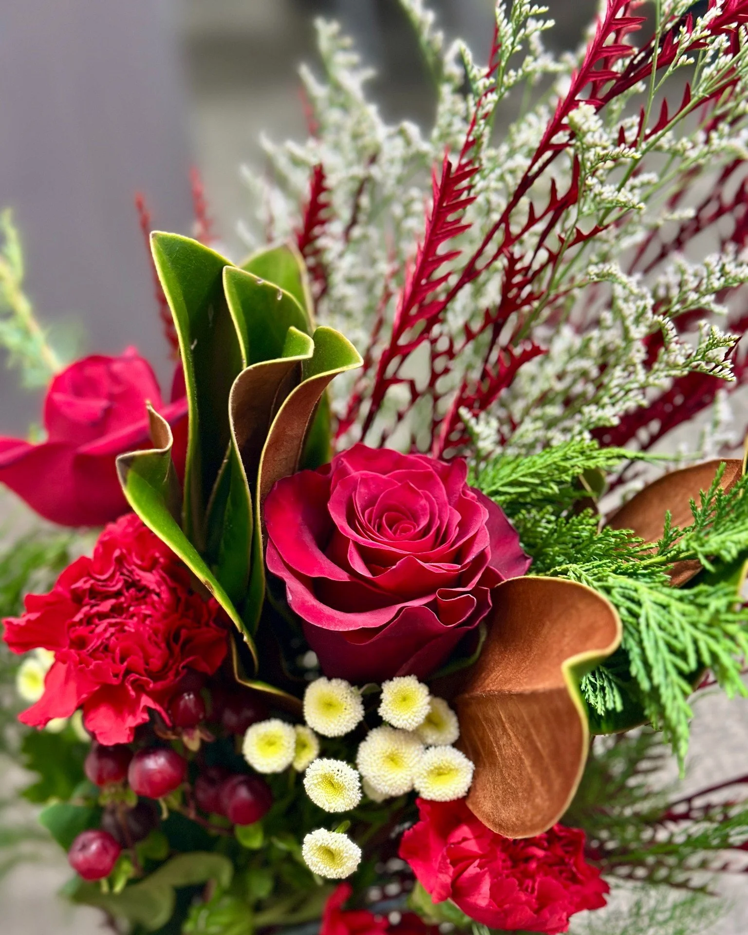 🎄Sneak peek of our holiday bouquet!🎄

We had so much fun this morning designing our holiday flower bouquet and can't wait to finalize, arrange, and wrap one for you next Tuesday (12/16). It's going to be festive, beautiful, and a little bit wild! T