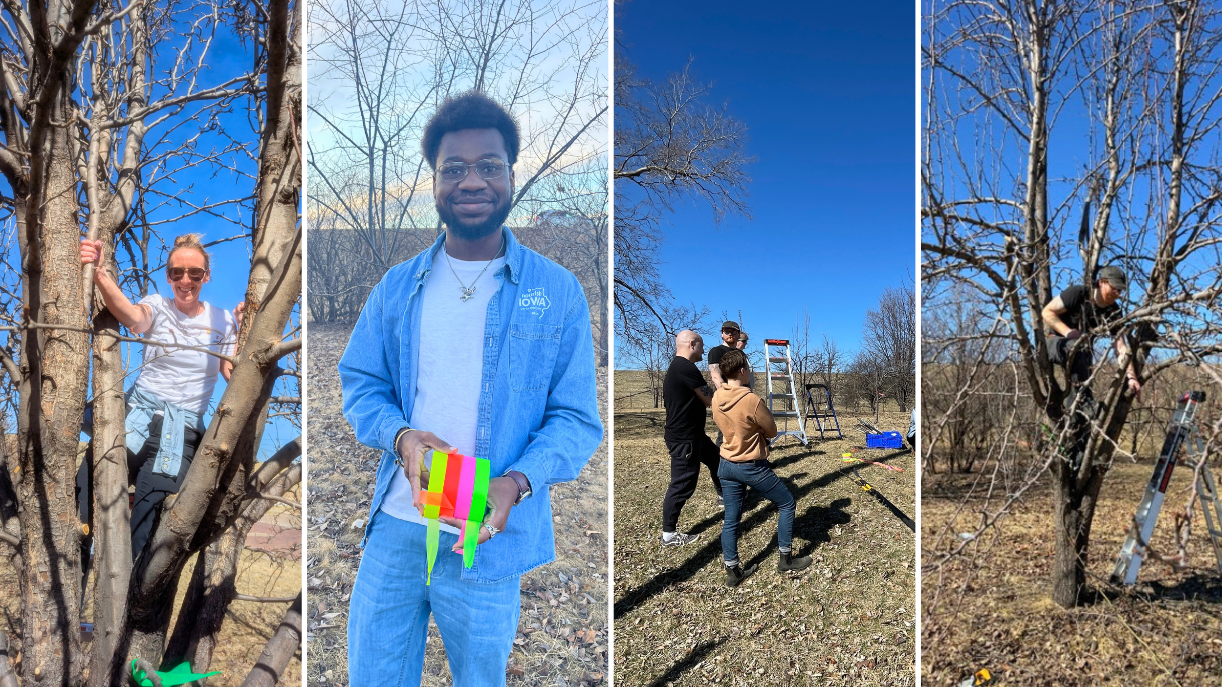 Spring update from our executive director