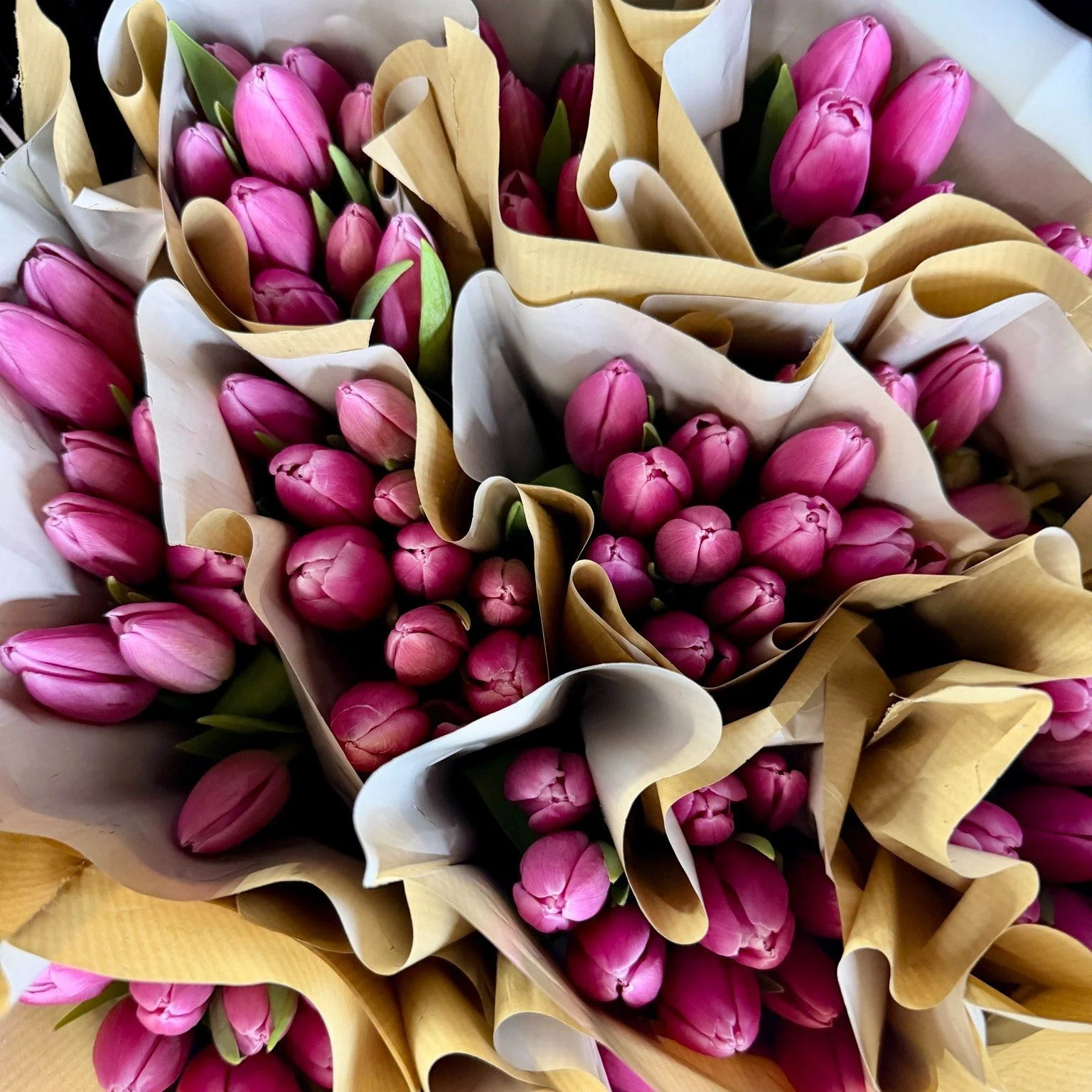 It's Tulip Time! We're prepping our Easter bouquets for Saturday morning pick up and they're going to be beautiful! You can still order online...there are 10 large bouquets (and several Dubai Chocolate Bunnies!) available. 🐰🌷