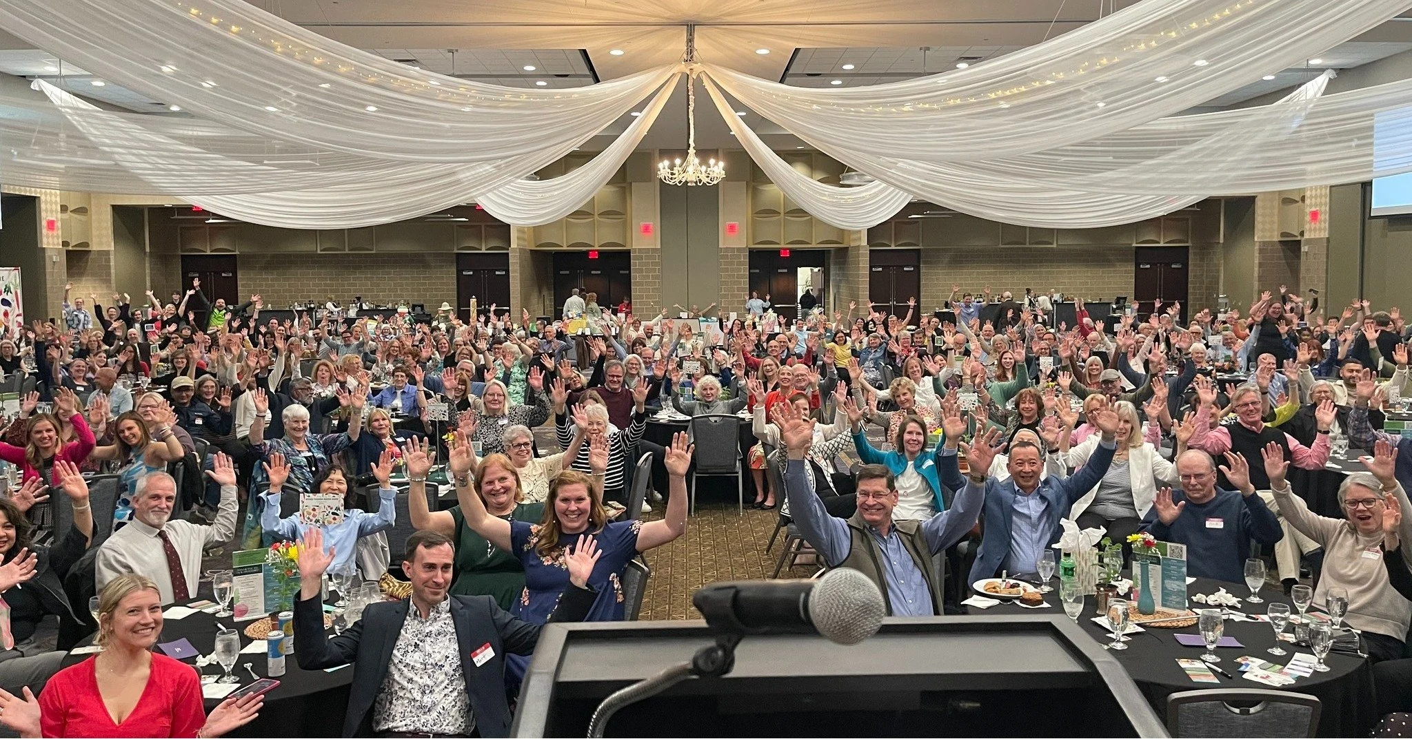 What is a Spring Fling benefit, exactly? Well, imagine this: 

A room full of wonderful people enjoying great food and drinks listening to live music and moving stories, bidding on a fantastic silent auction ... all the while knowing that their prese