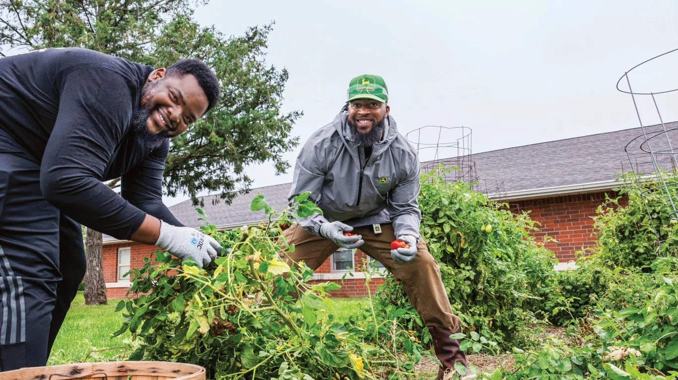 Two smiling men harvesting tomatoes from a garden surrounded by green plants in a residential yard.