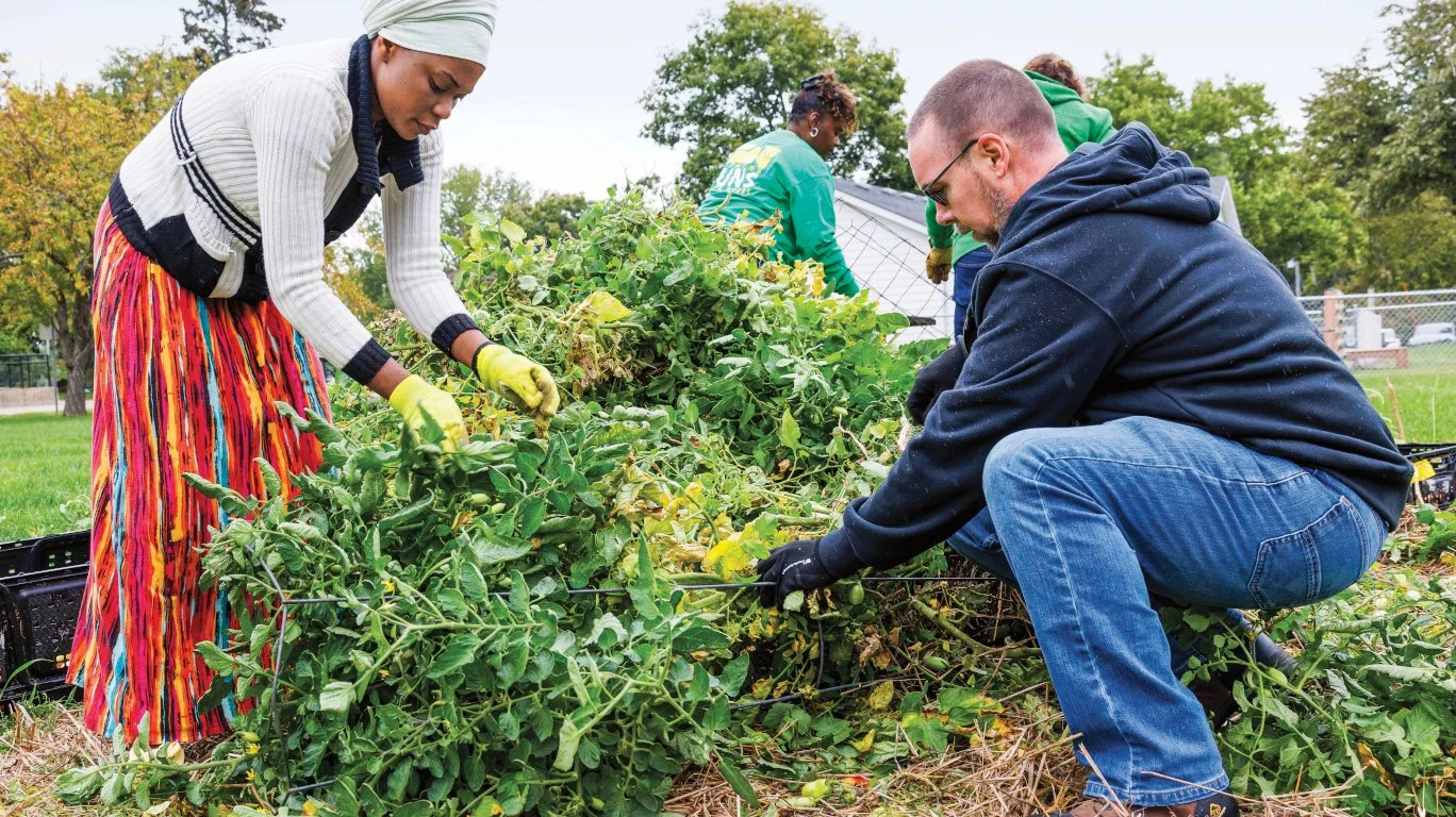 Refugees and volunteers working together at Tapestry Farms.