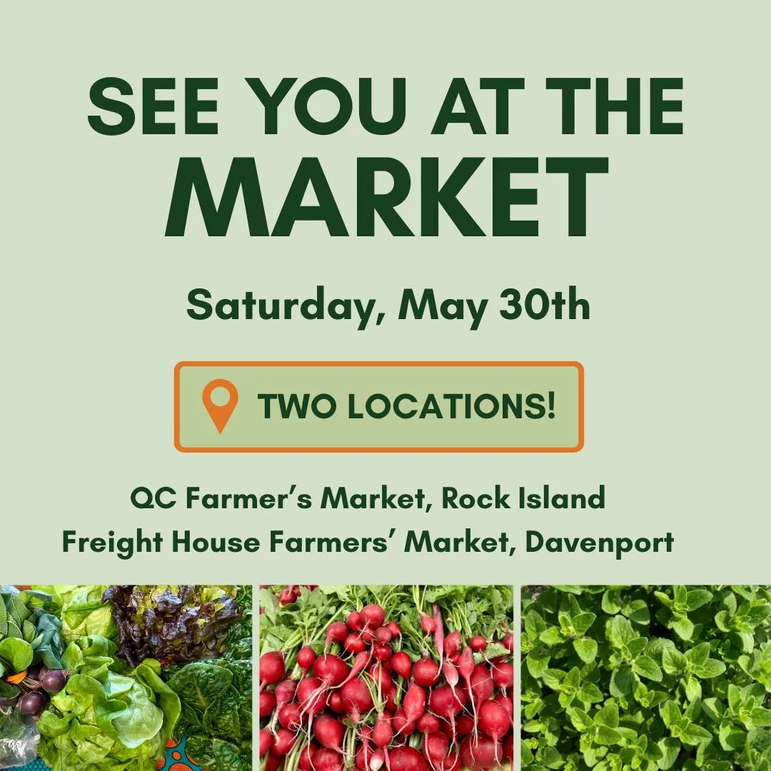 Heading to the market this weekend? We'll be at both the @qcfarmersmarket and @freighthousefarmersmarket on Saturday. Stop by and say hello! 🌿💐😎