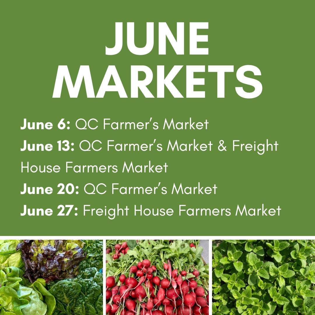 For those of you planning your summer Saturdays, here's our market schedule for the month of June. We'd love for you to stop by and say hello!  We can't wait for market mornings at both the @qcfarmersmarket  and the @fr@freighthousefarmersmarket this