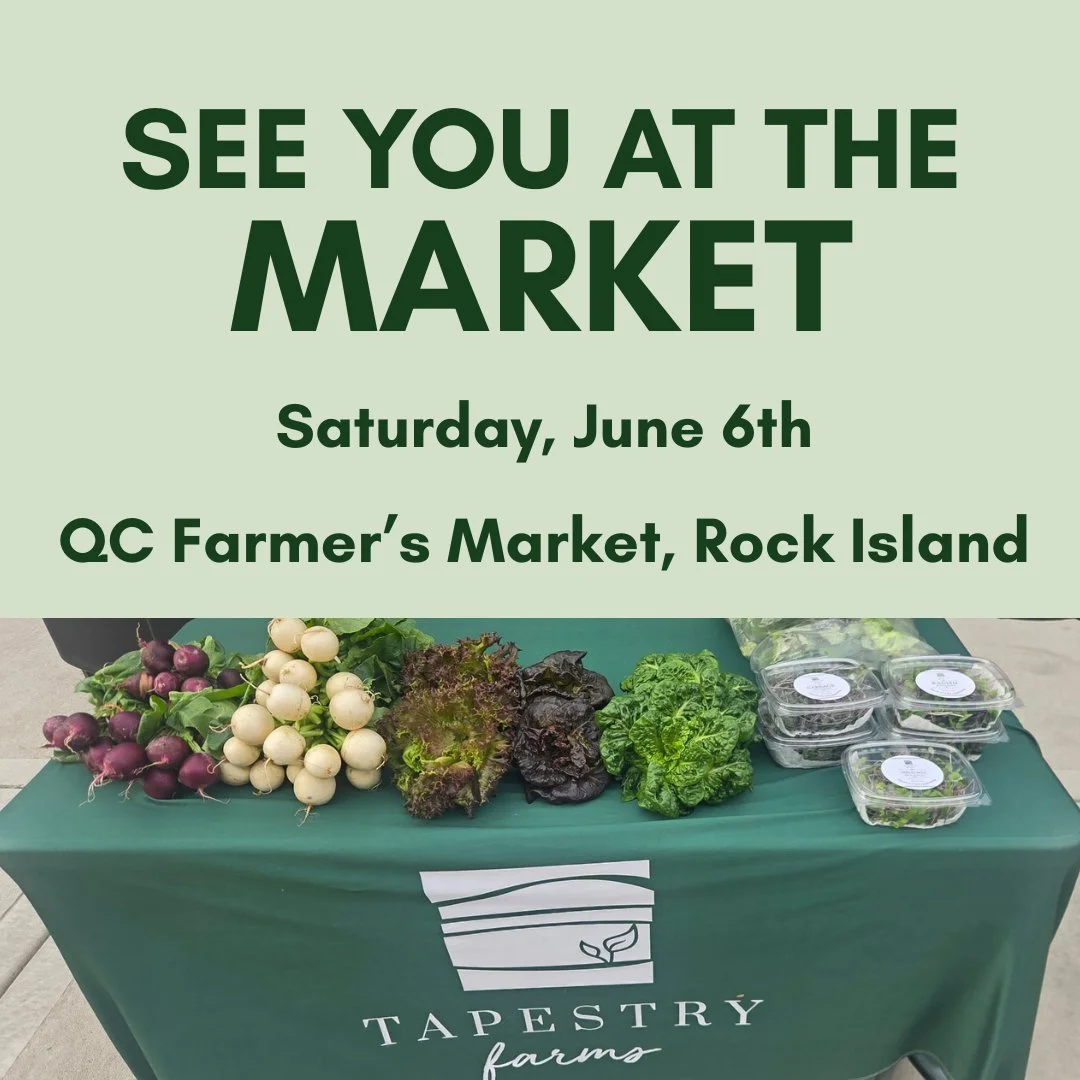 See you at the @qcfarmersmarket this Saturday morning (6/6)! 🌿👩🏼&zwj;🌾🥗