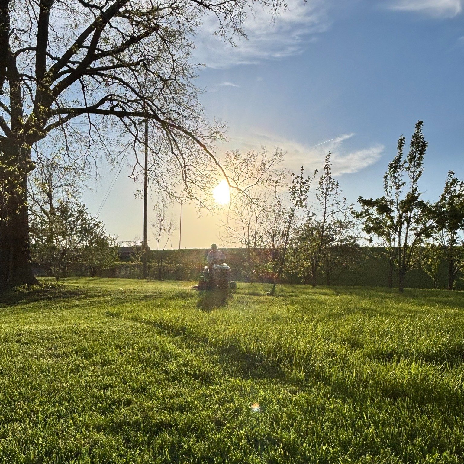 We're grateful for this week's rain...and for all of the people who helped get the farm up and running this spring! We LOVE our farm volunteers!! 

Do you have a group who would like to dig in the dirt with us for a few hours? We'd love to welcome yo