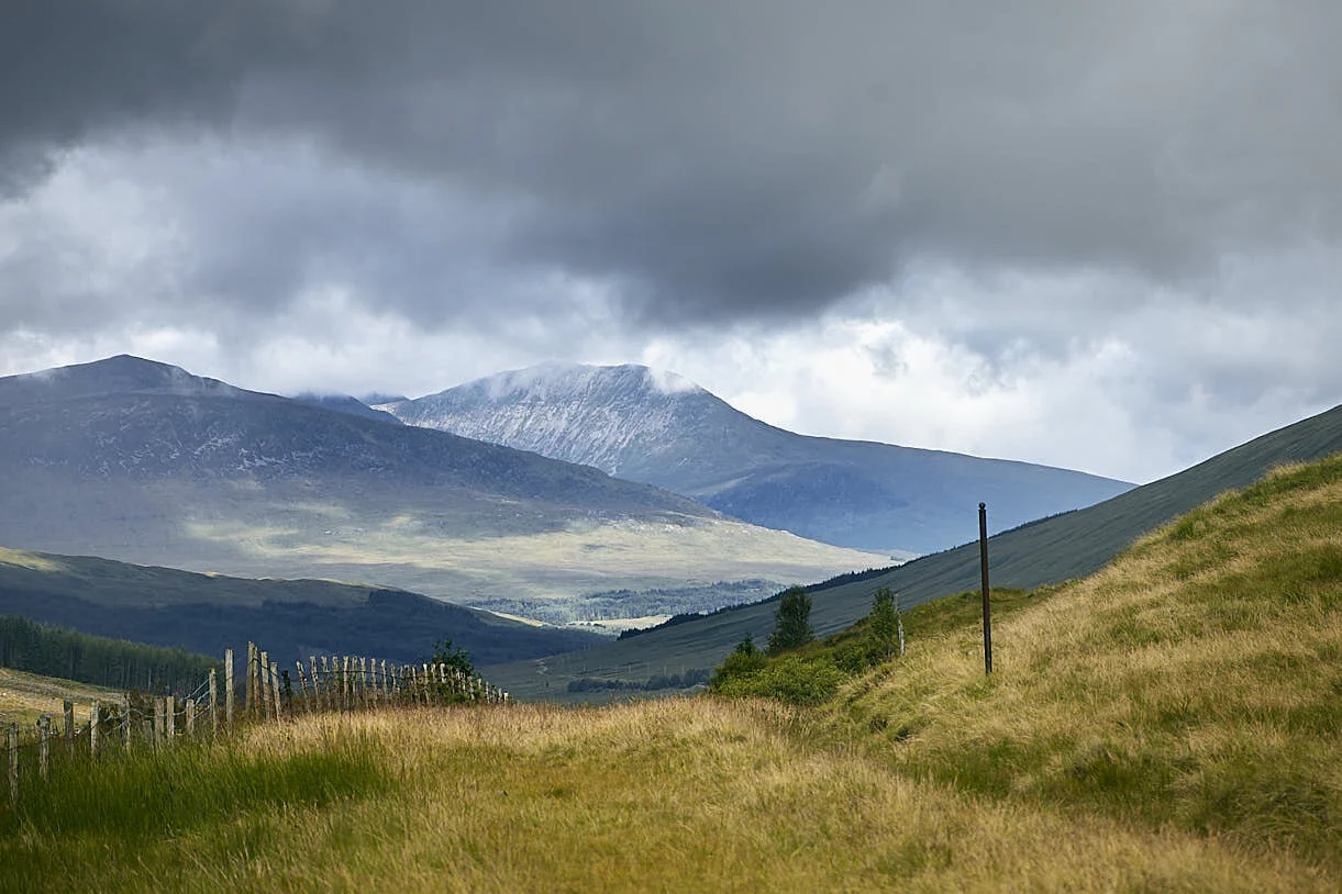 2011_08_LANDSCAPE_Charles Seignolle_OUT_002.jpg