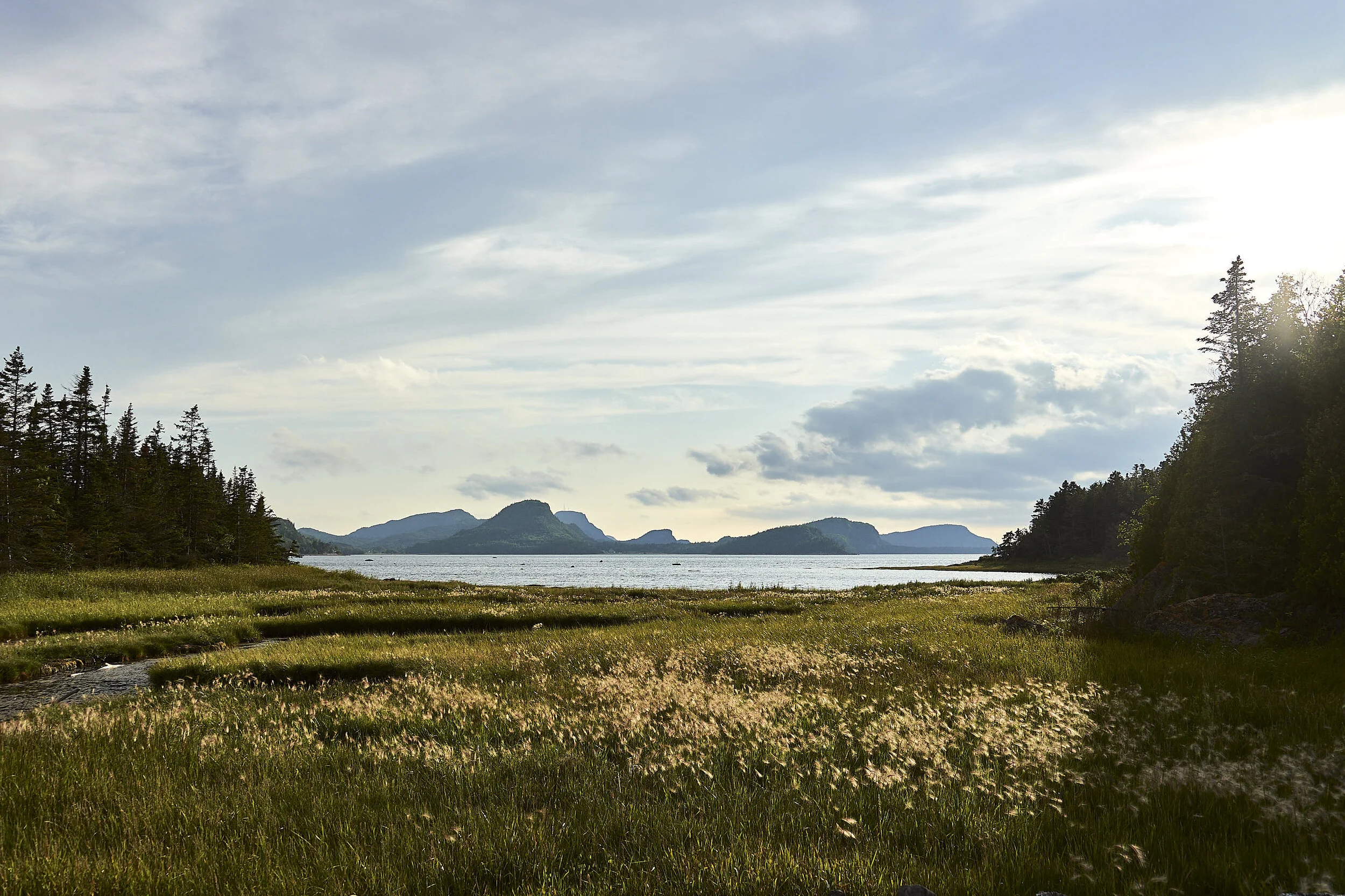 2019_08_LANDSCAPE_Charles Seignolle_OUT_010.jpg