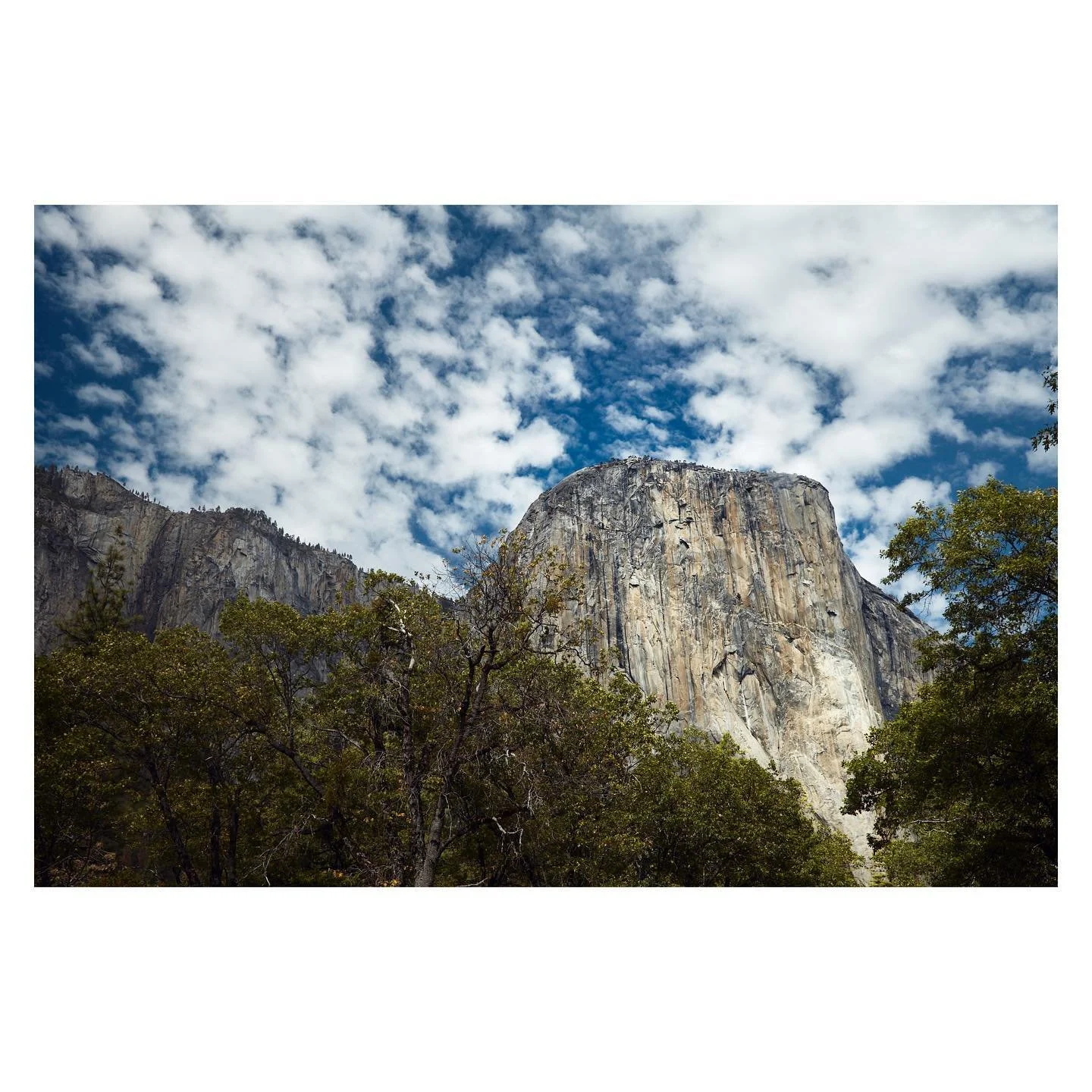 El Capitan
.
.
Took this pictures a few years ago. Discovering for the first time @yosemitenps 
.
.
#landscapephotography #travelphotography #travelgram #yosemitenationalpark @visitcalifornia #visitcalifornia #nature #climbing #elcapitan #canonphotog