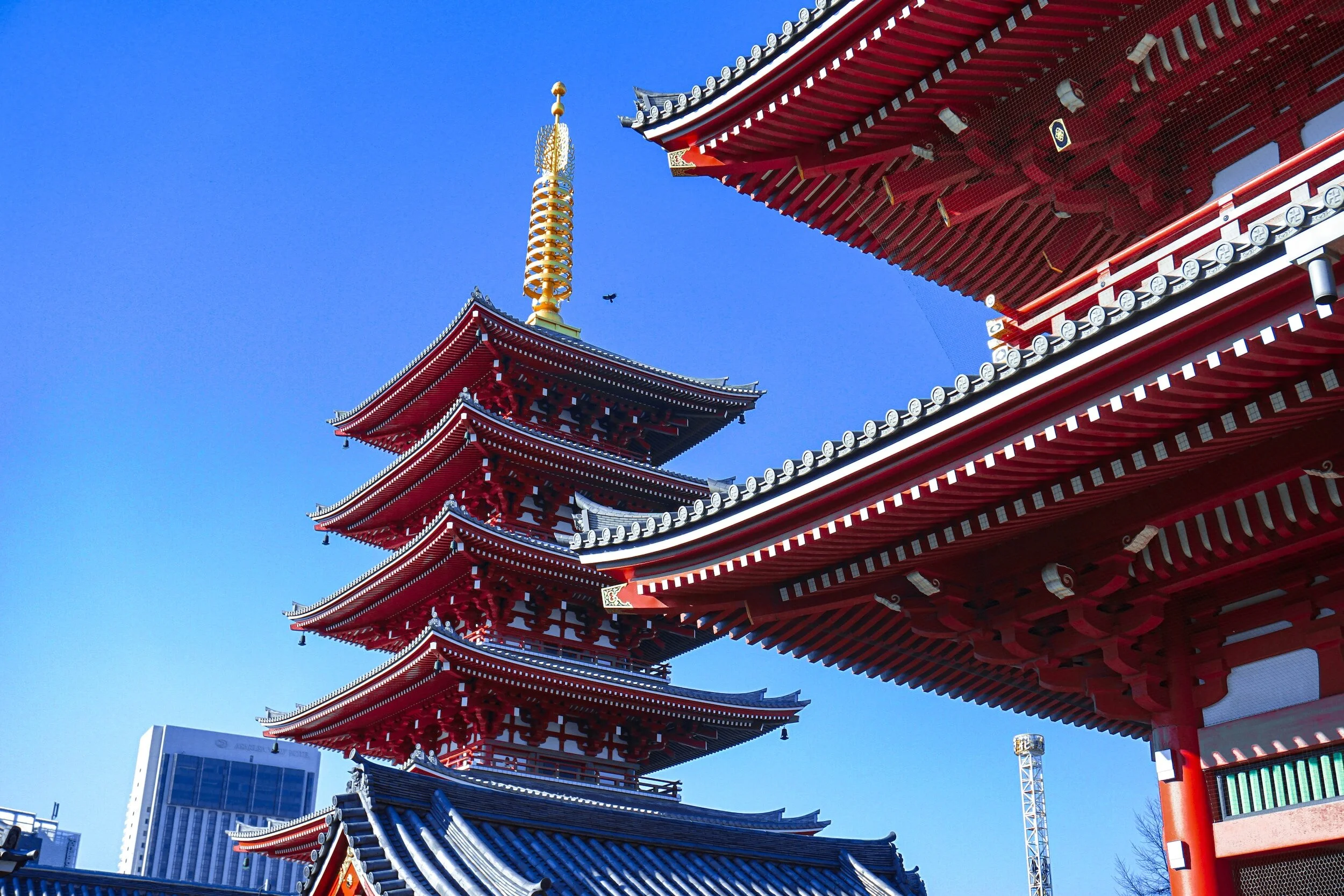 EXPLORING ASAKUSA: A TOKYO TOUR GEM